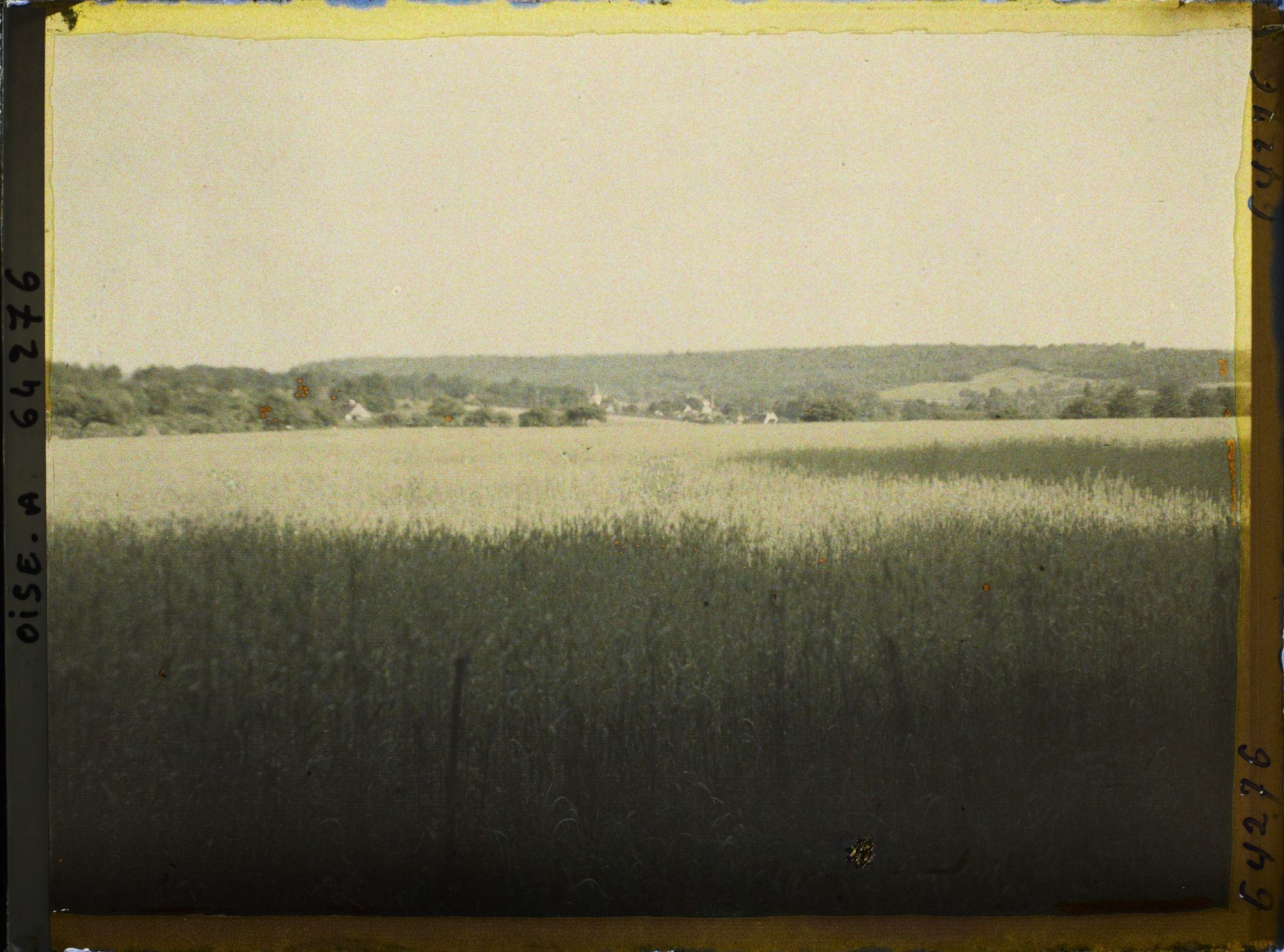 Image représentant Ile de France, Autriches, Effets de jour sur Champ de blé