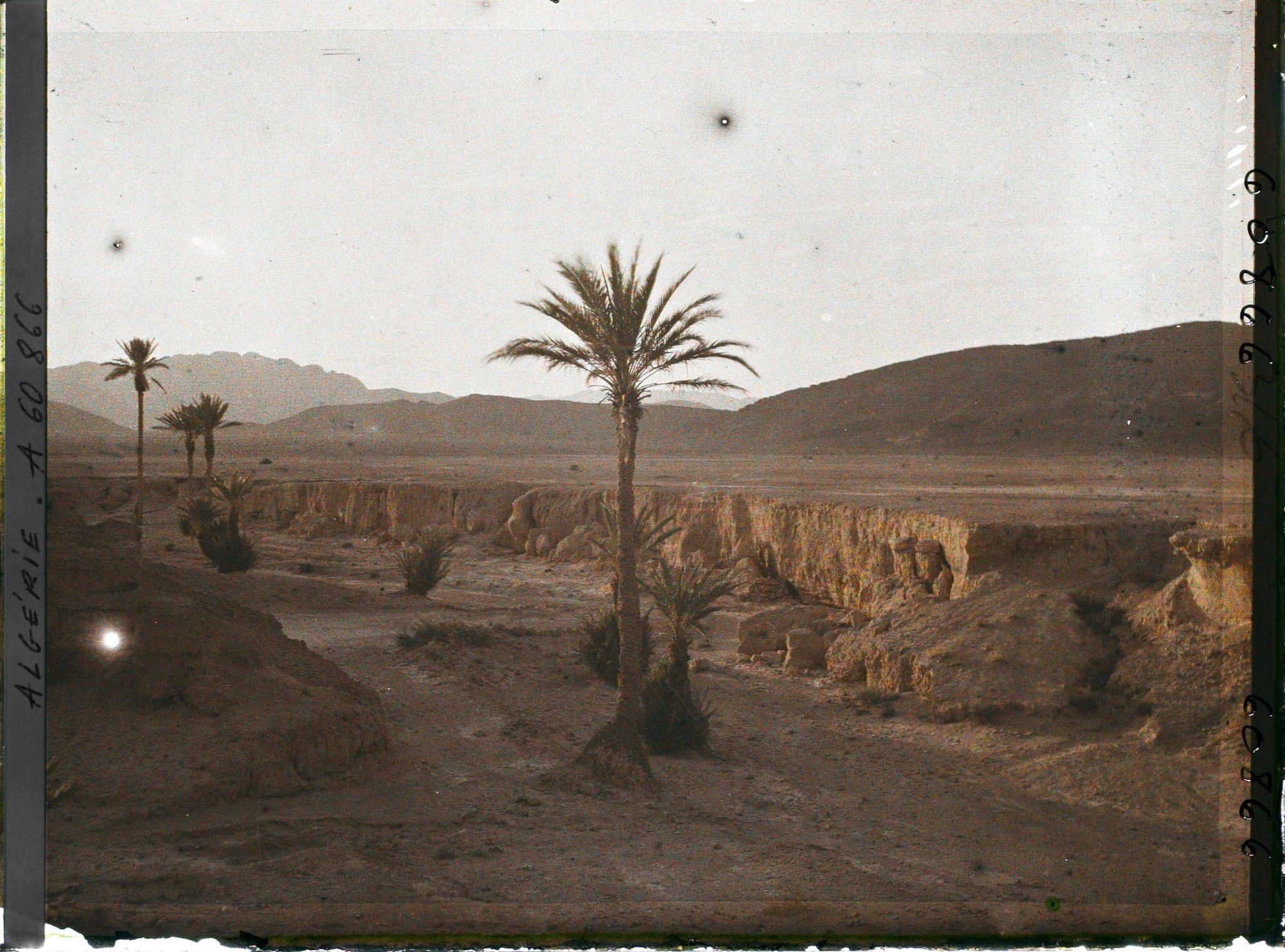 Image représentant Vue du lit de l'oued asséché