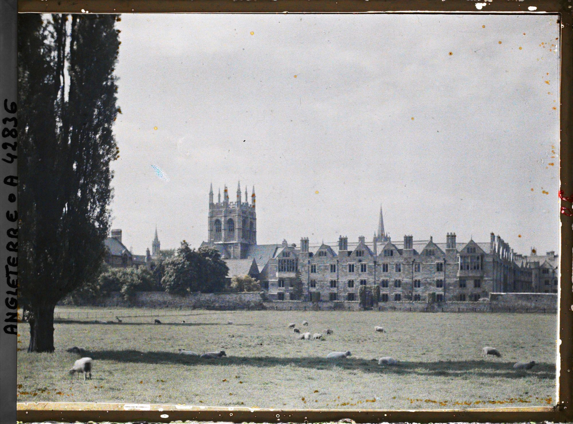 Image représentant Merton College vu depuis Merton field