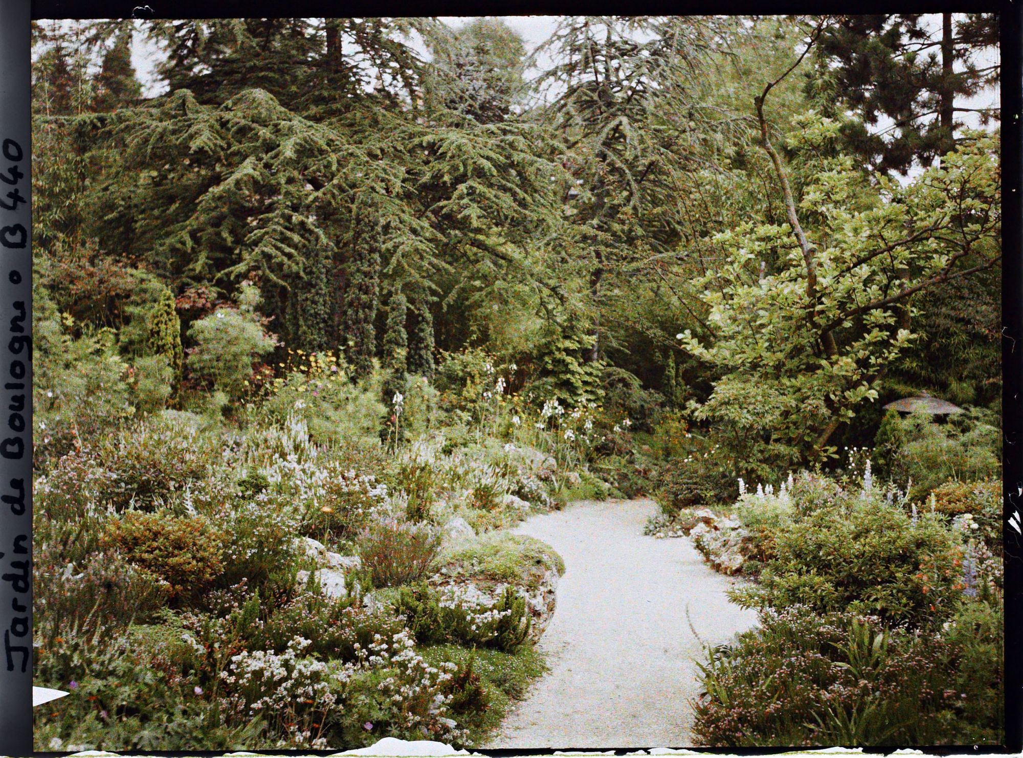 Image représentant Chemin fleuri du " sanctuaire japonais " non loin du sôrintô, menant au verger-roseraie