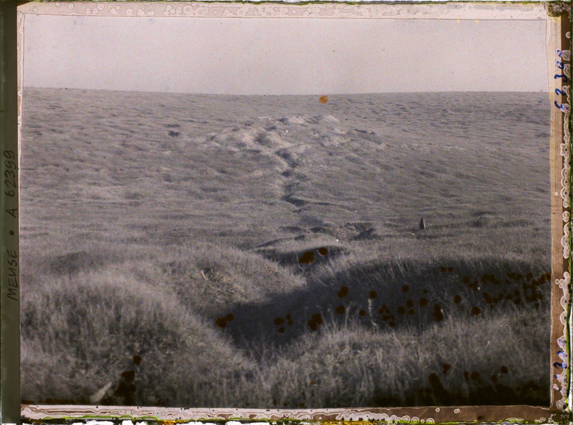 Image représentant Meuse, Mort-Homme, Tranchée Coupant le ravin des Courettes