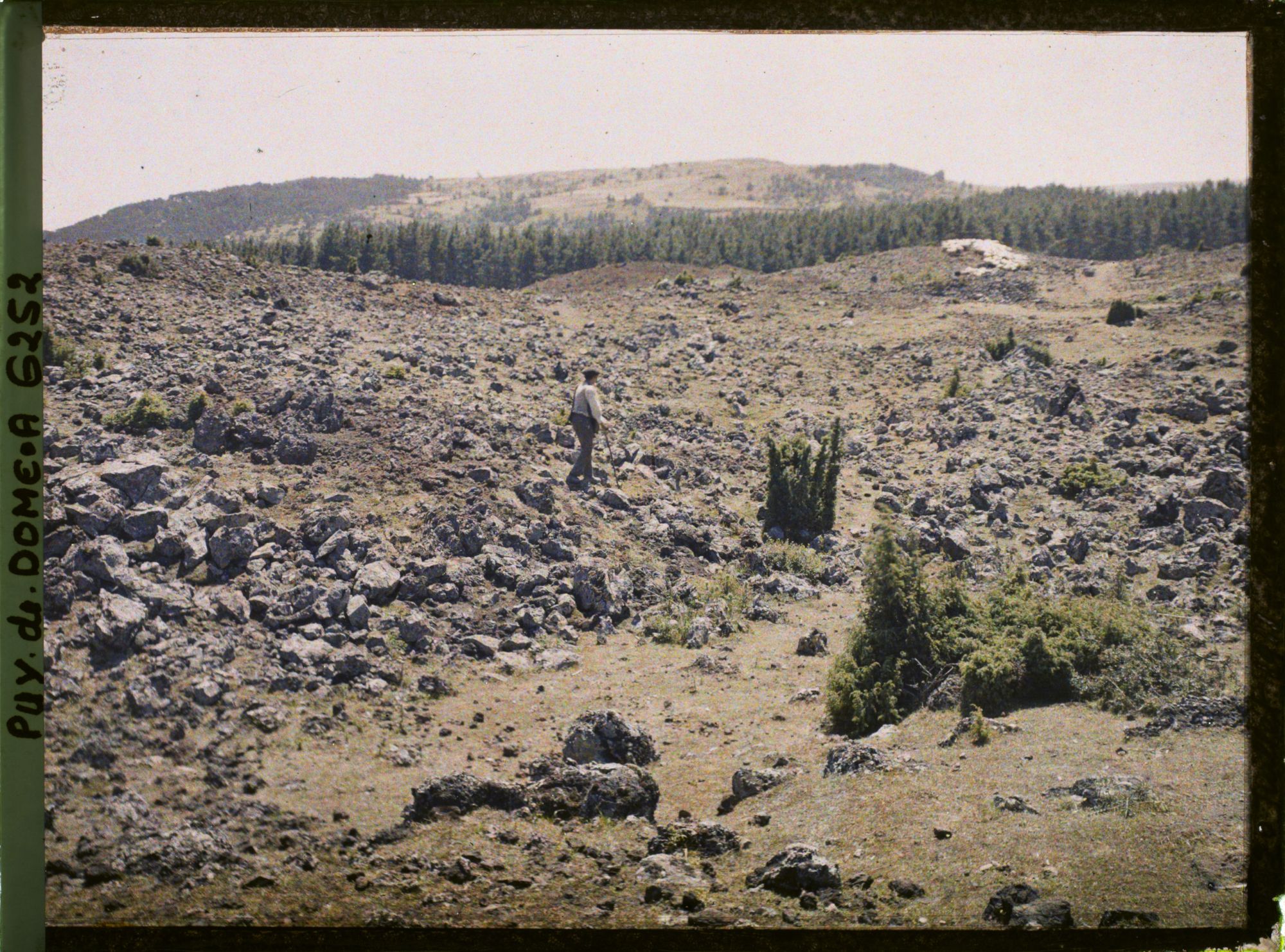 Image représentant France, Champs de lave près du lac d'Aydat