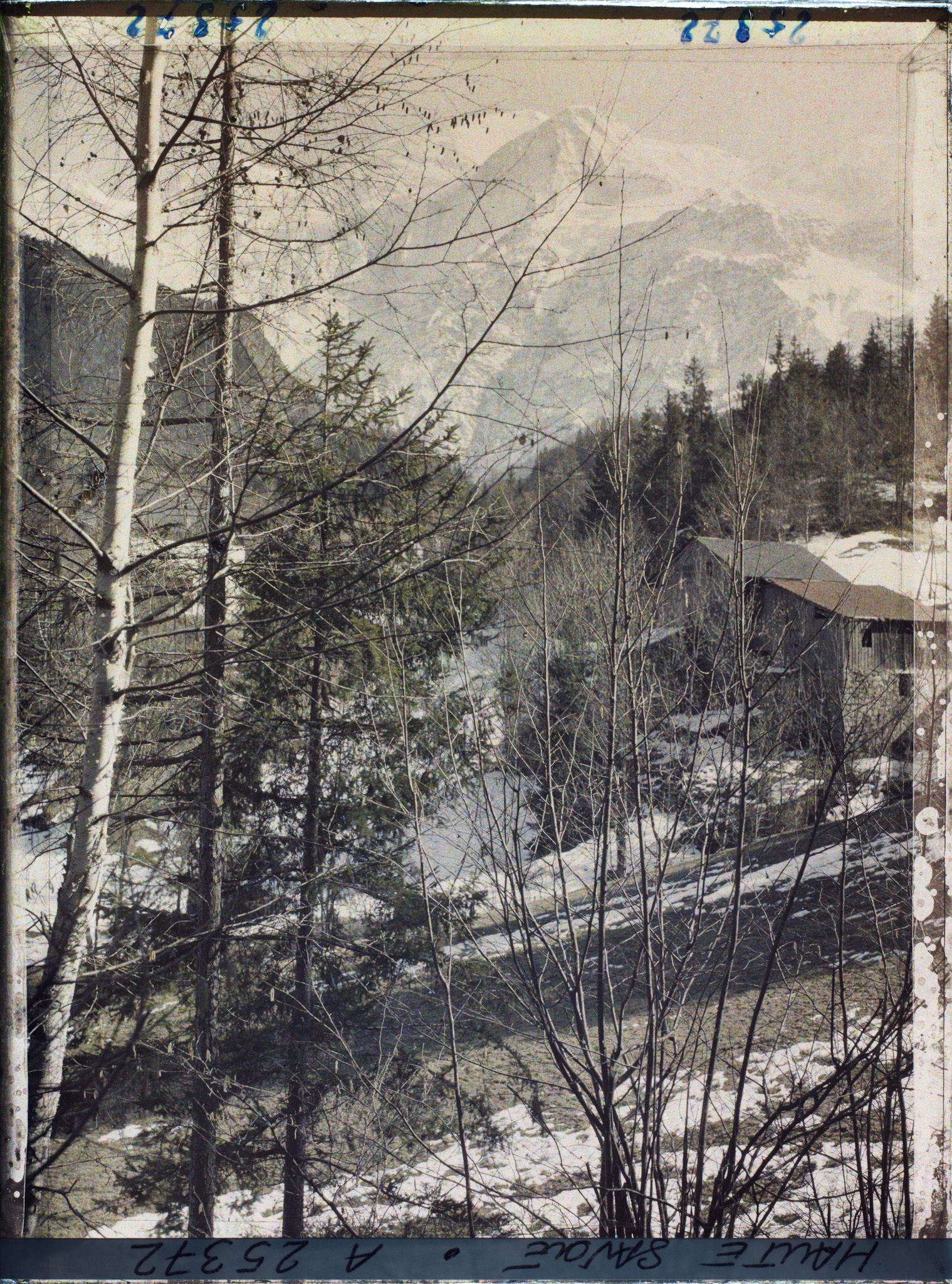 Image représentant France Les Alpes, Vallée de Chamonix ; Paysage Alpestre vers l' Aige du Goûter