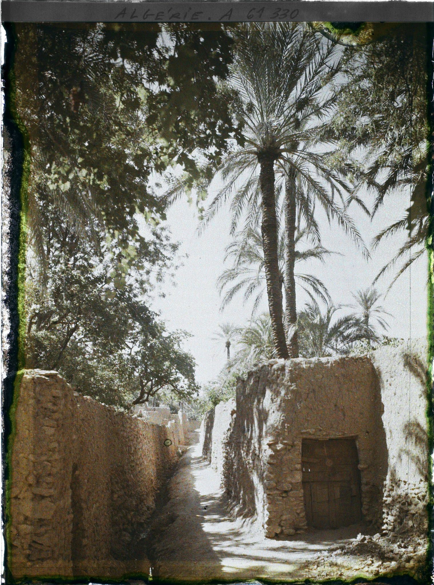 Image représentant Jardins enclos de l'oasis