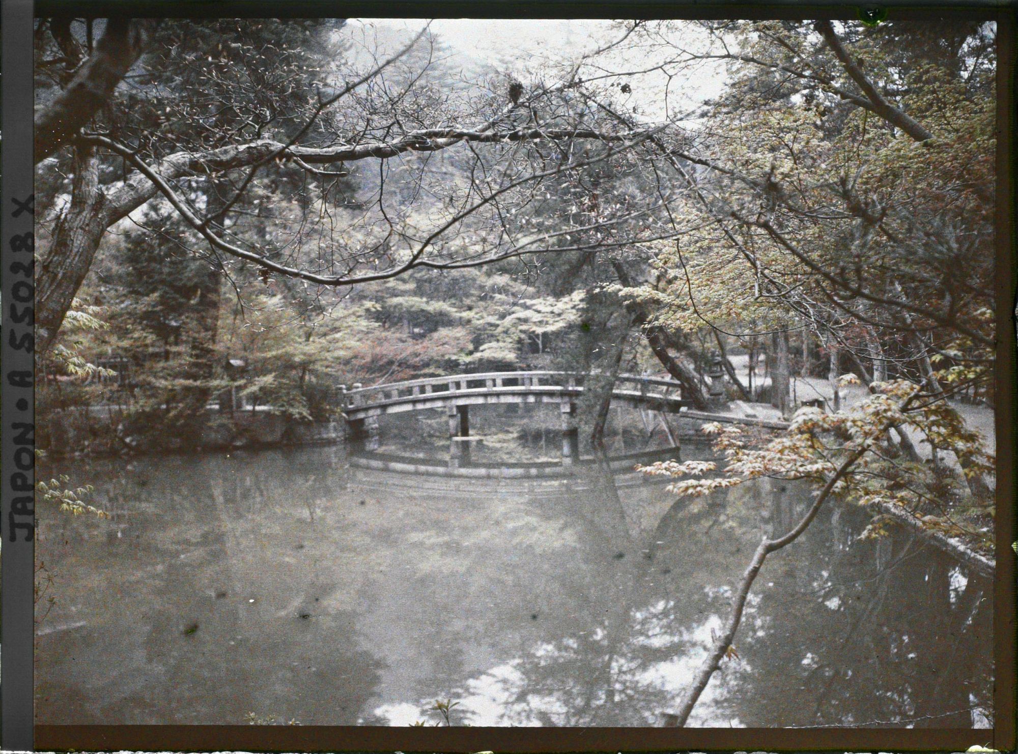Image représentant Temple Eikan-dô Zenrin-ji : l'étang du Hôjô et le pont menant au sanctuaire shintô Benten-sha