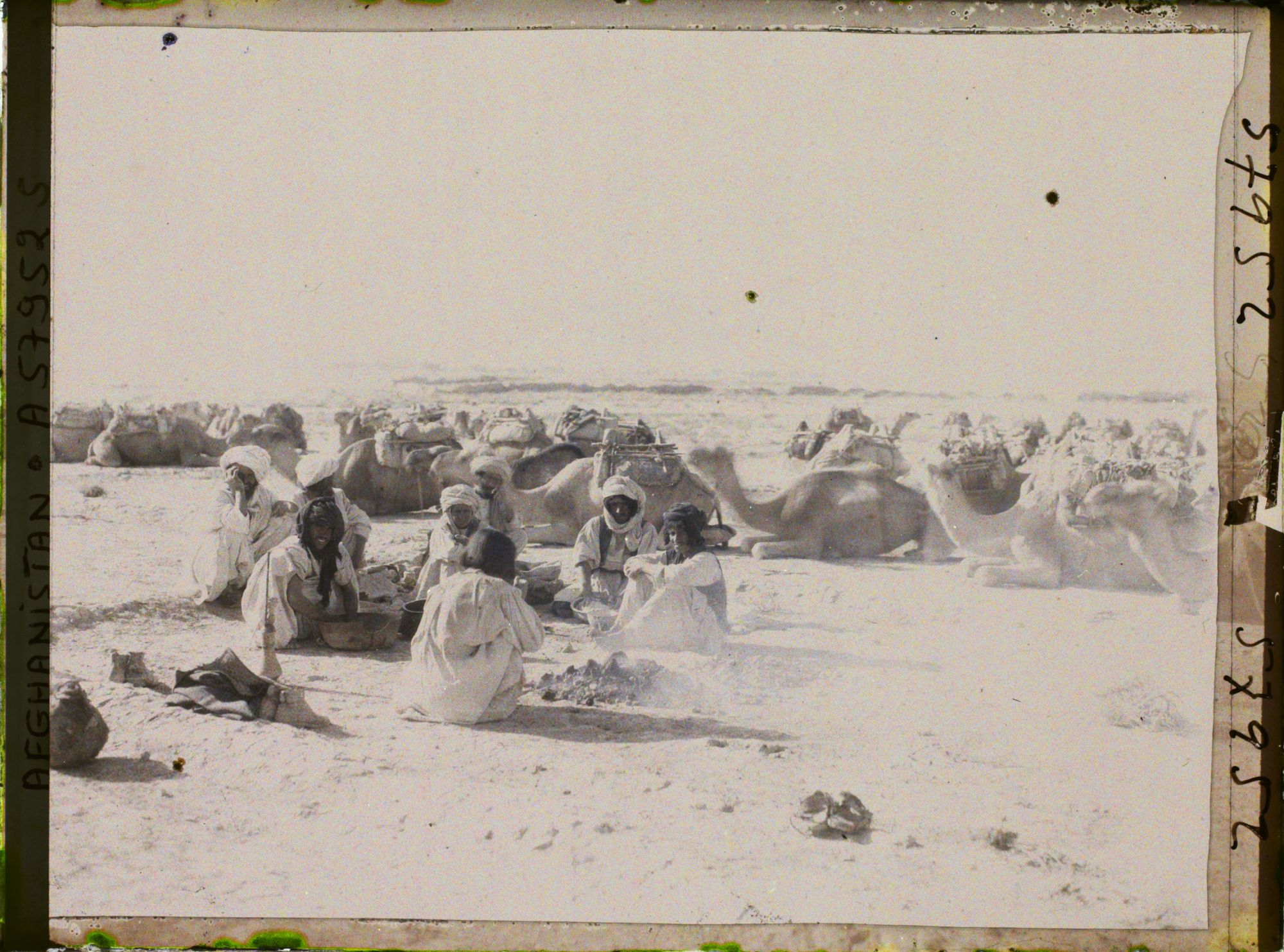 Image représentant Afghanistan, Chadjoui, Chameliers préparant leur repas