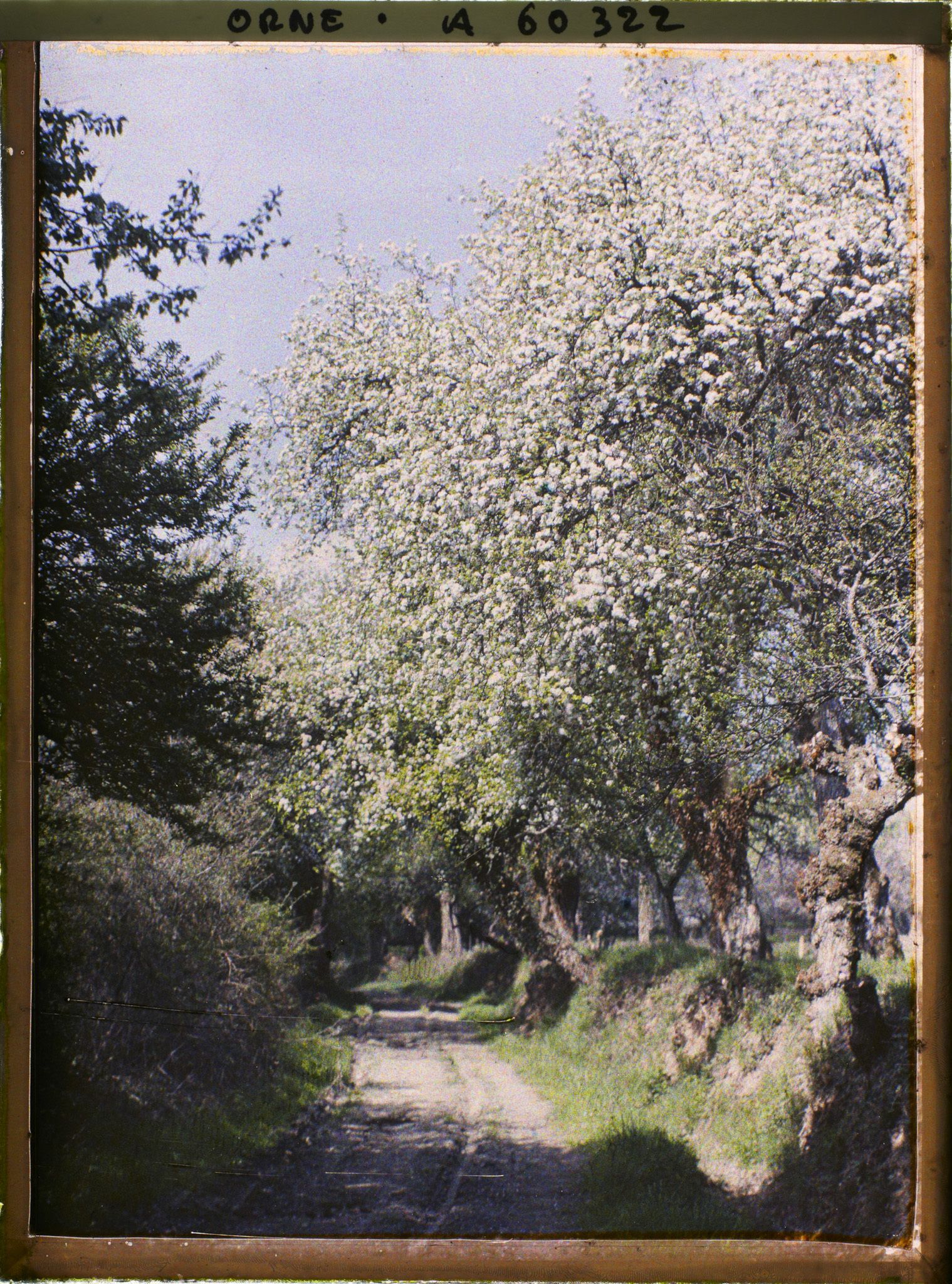 Image représentant Paysage