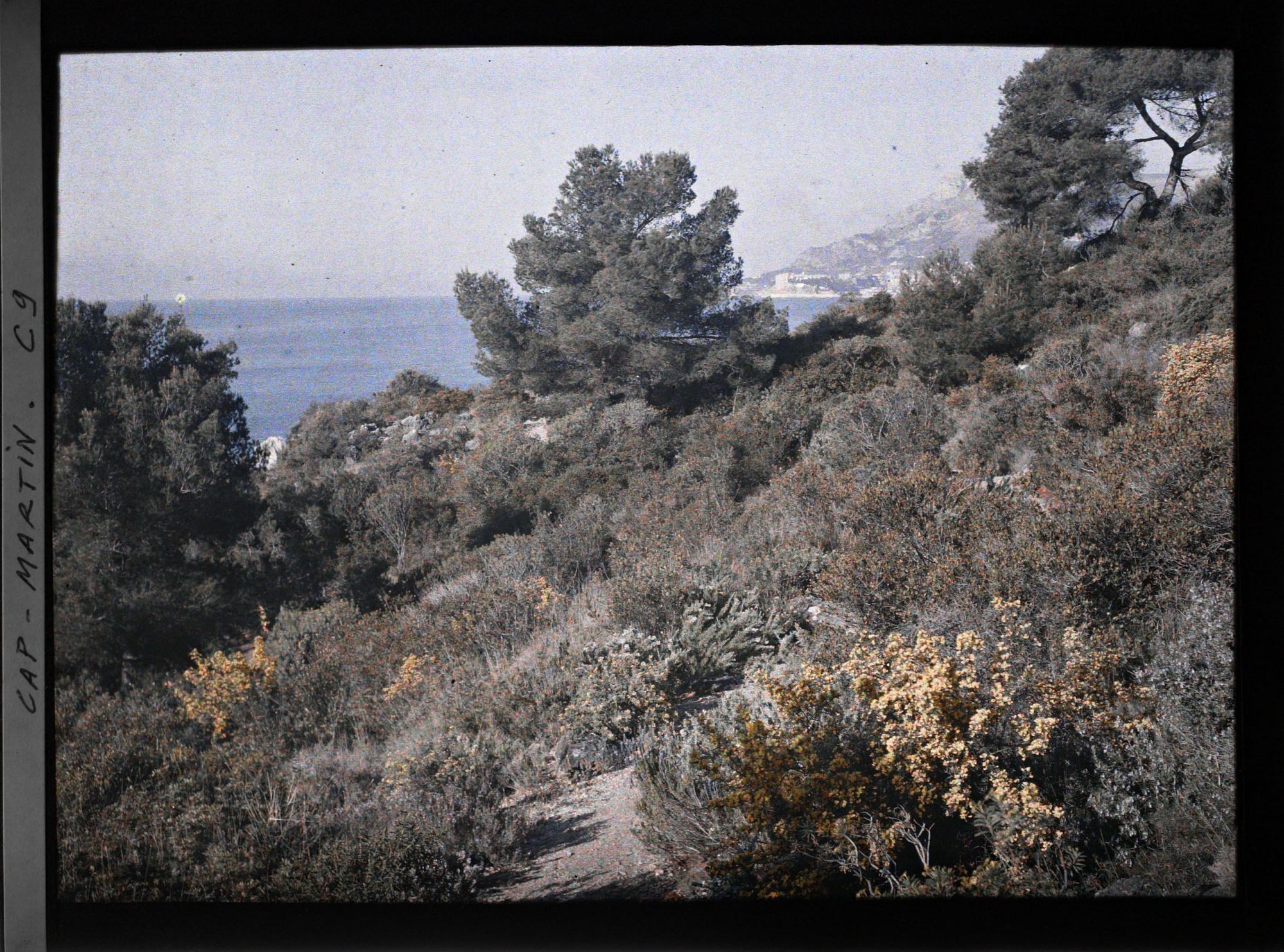 Image représentant Allée de jardin sinuant en direction de Monaco à travers la lande surplombant la mer