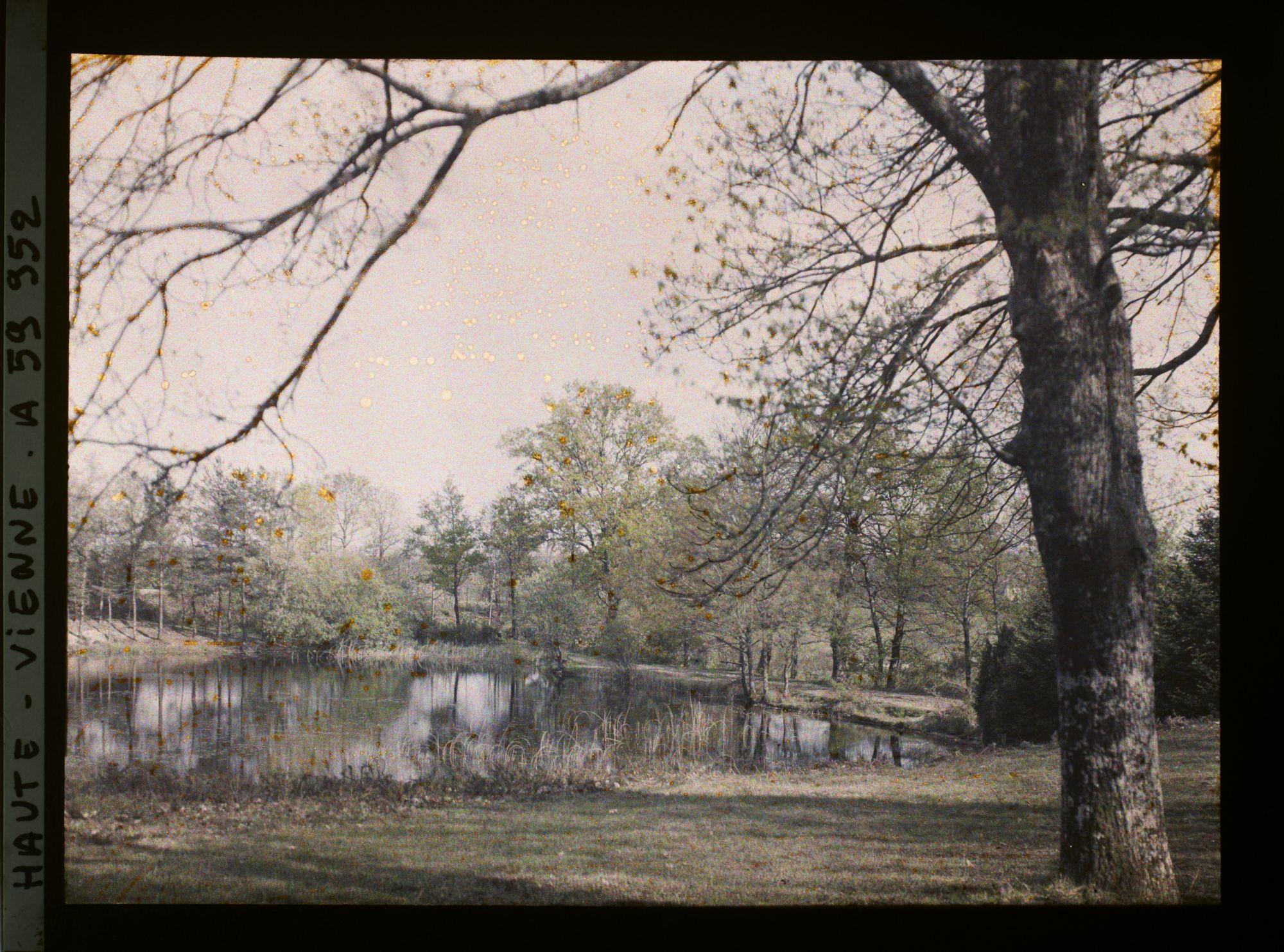 Image représentant Un paysage aux environs de Saint-Yrieix-La-Perche