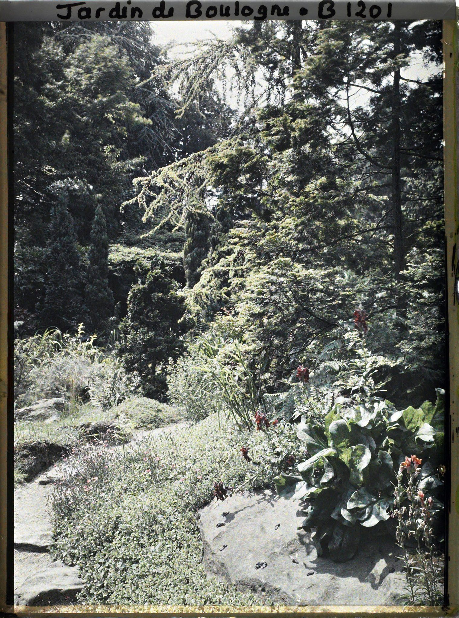 Image représentant Virage d'un chemin ponctué de pierres ; près du temple shinto du " sanctuaire japonais " ?