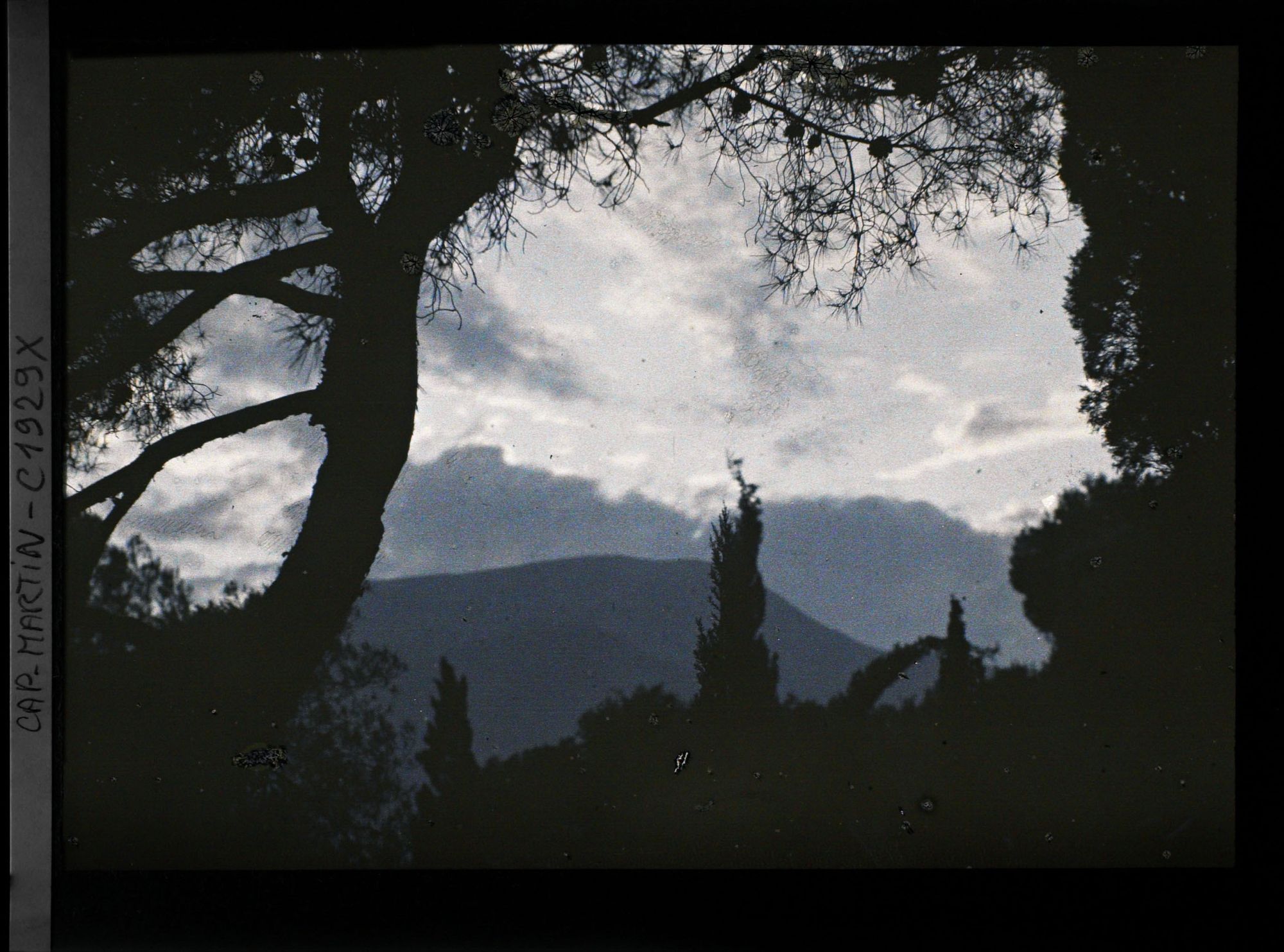 Image représentant Végétation et paysage environnant se découpant à contre-jour dans la lumière du soir, vue prise à 20 h