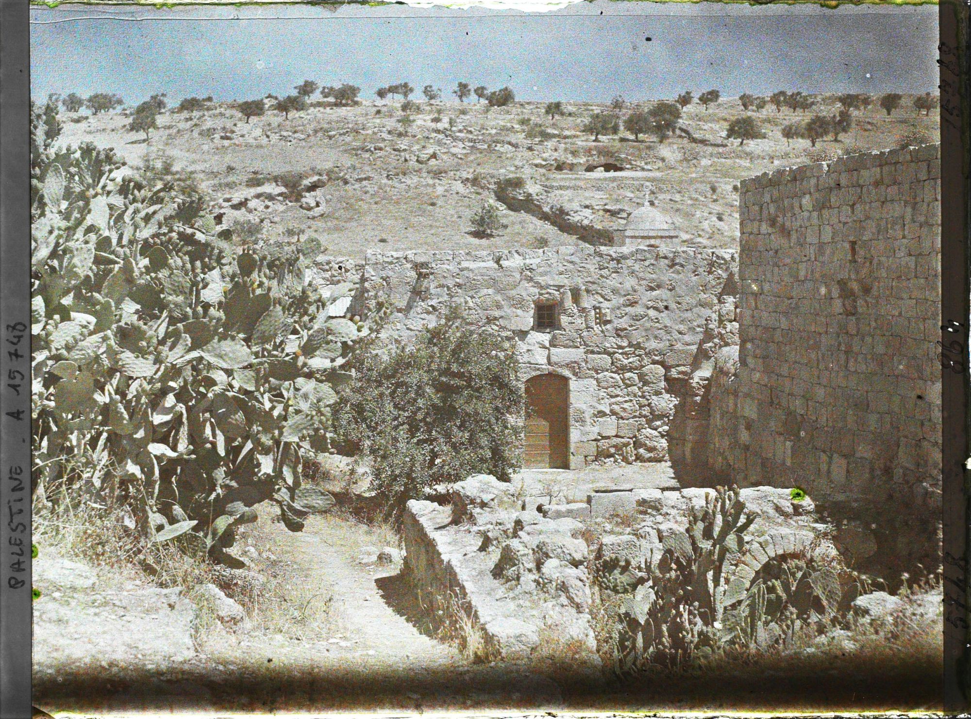 Image représentant Vestiges de la demeure de Marie-Madeleine et de Marthe à Bethanie
