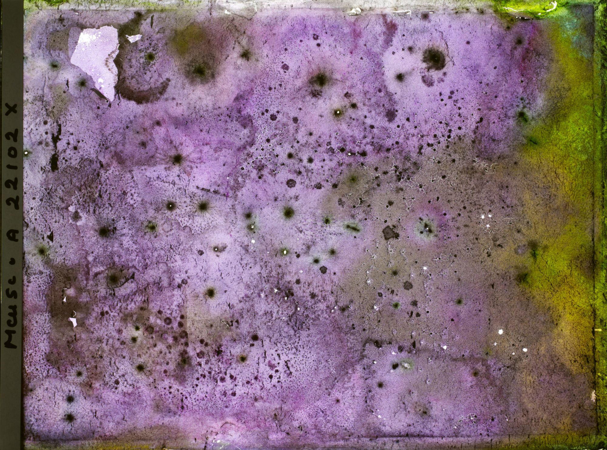 Image représentant Image illisible, plaque endommagée par l'eau (altérations d'époque)