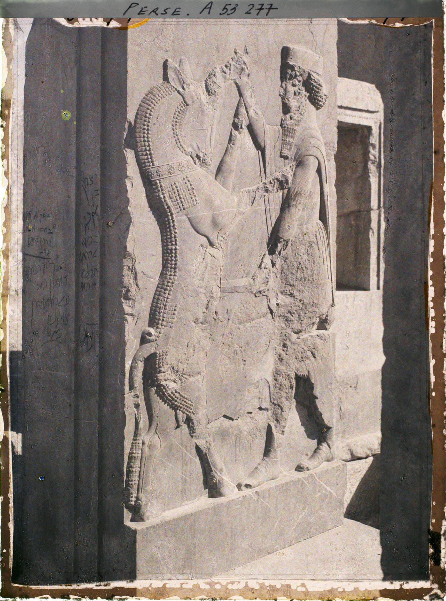Image représentant Bas-relief représentant Darius 1er luttant contre un animal fabuleux, palais du Tatchara