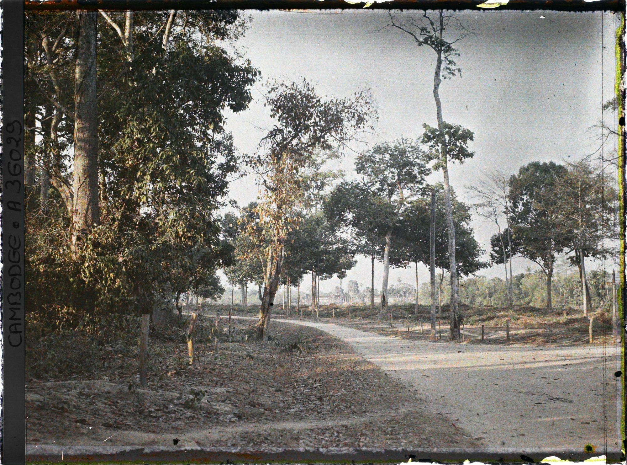 Image représentant Sur la route aux abords du temple d'Angkor Vat