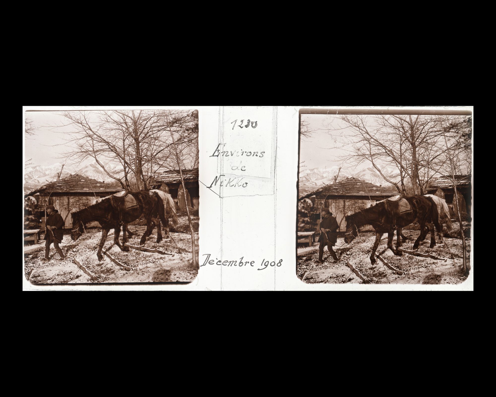 Image représentant Palefrenier et chevaux