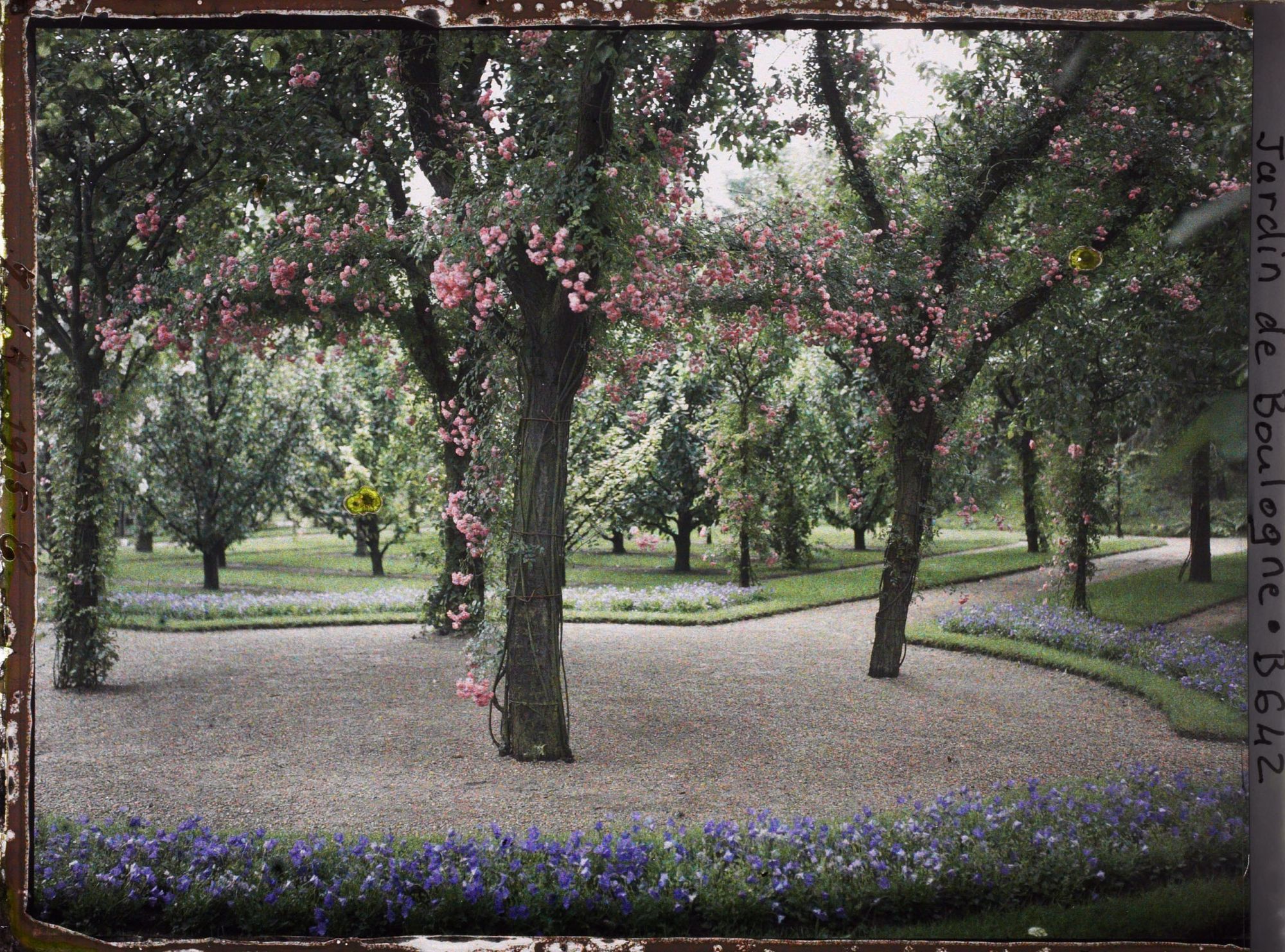 Image représentant Partie du verger-roseraie vue en direction du sud-est, depuis le rond-point proche de la dépendance