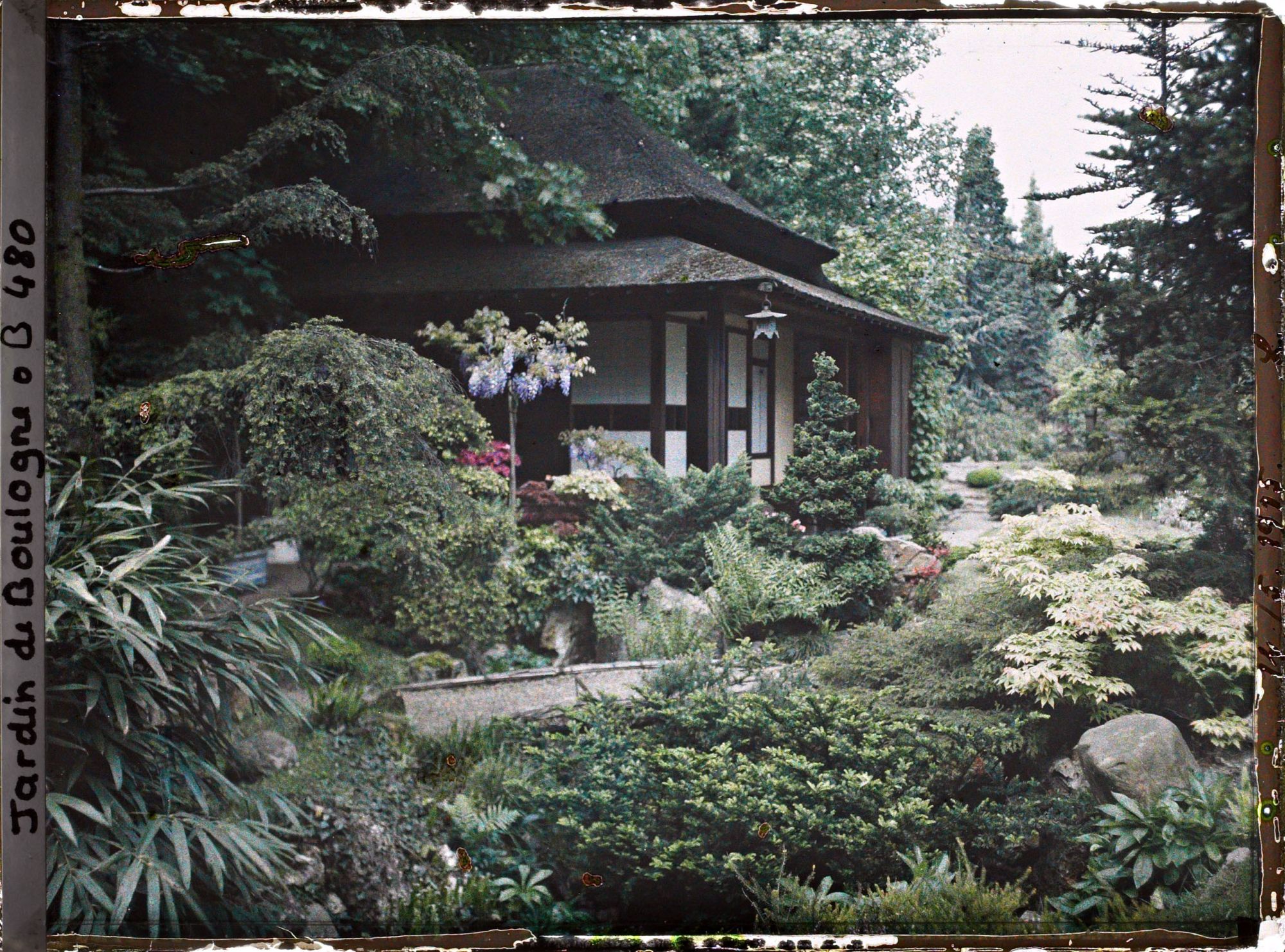 Image représentant Pont enjambant la rivière sèche et glycines en fleur près de la maison ouest du " village japonais "