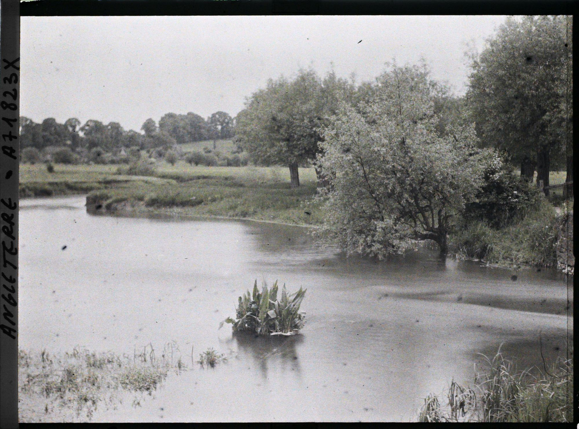 Image représentant Un paysage au bord d'une rivière
