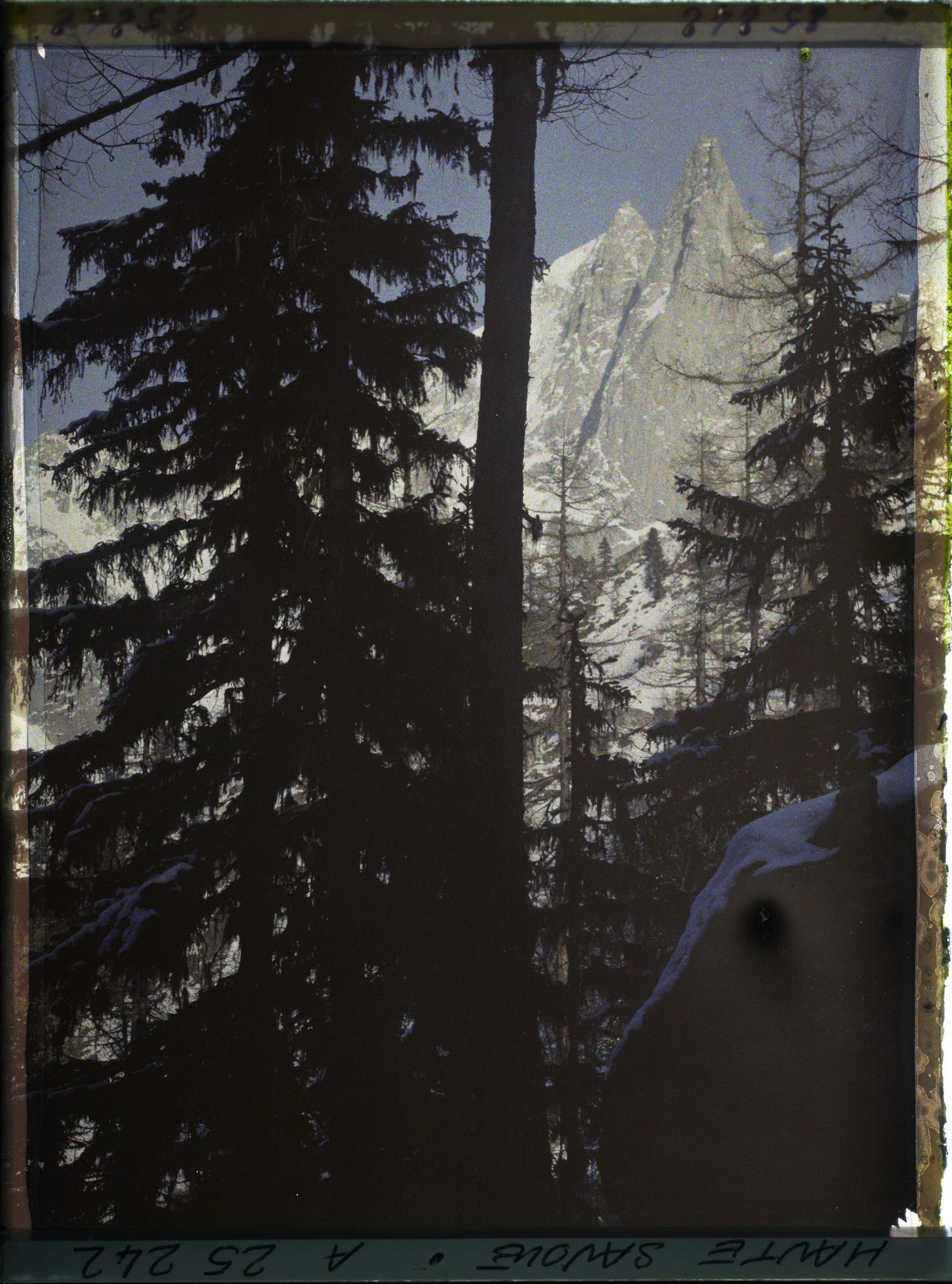Image représentant France Les Alpes, La mer de Glace, L'Aiguille du Dru vue des pentes du Charmoz