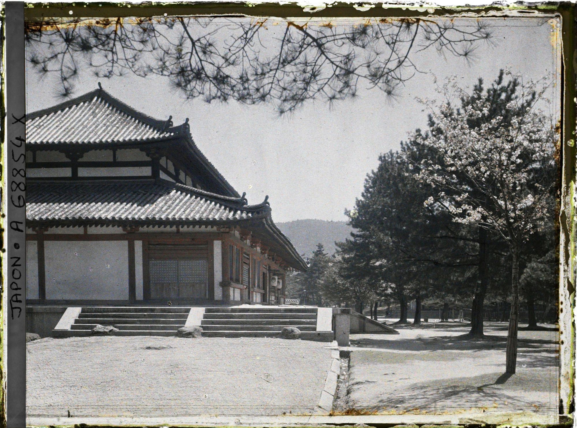 Image représentant Temple Kôfuku-ji : pavillon Chû-kondô