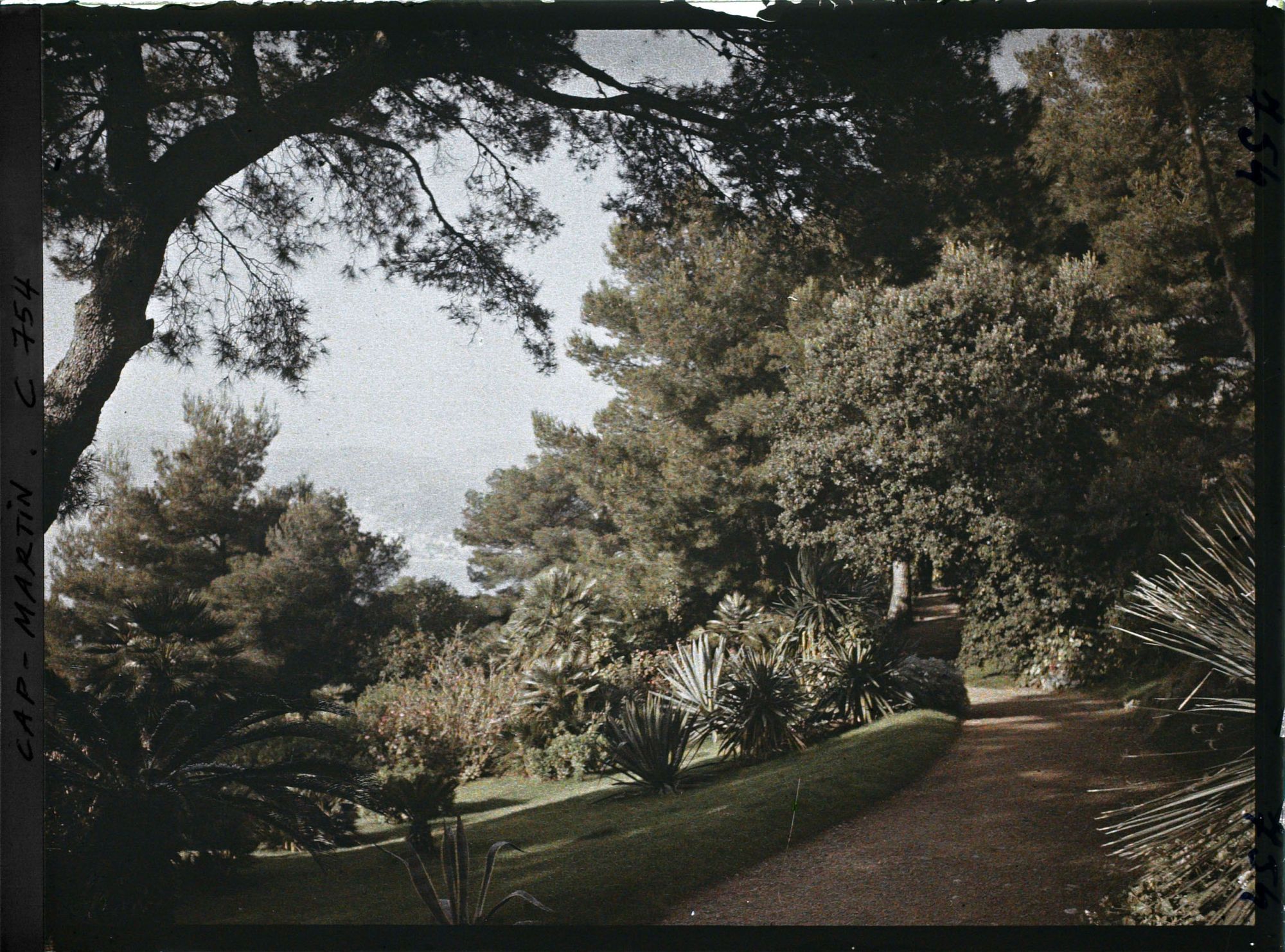 Image représentant Abords de la villa Miramar