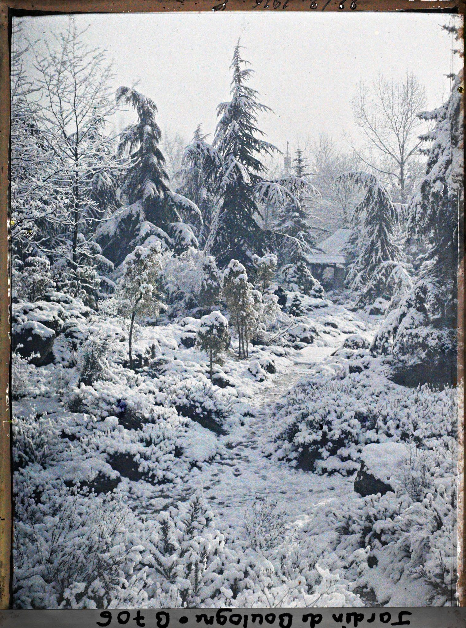 Image représentant Espace arboré du " sanctuaire japonais " sous la neige avec une allée menant au " village japonais "