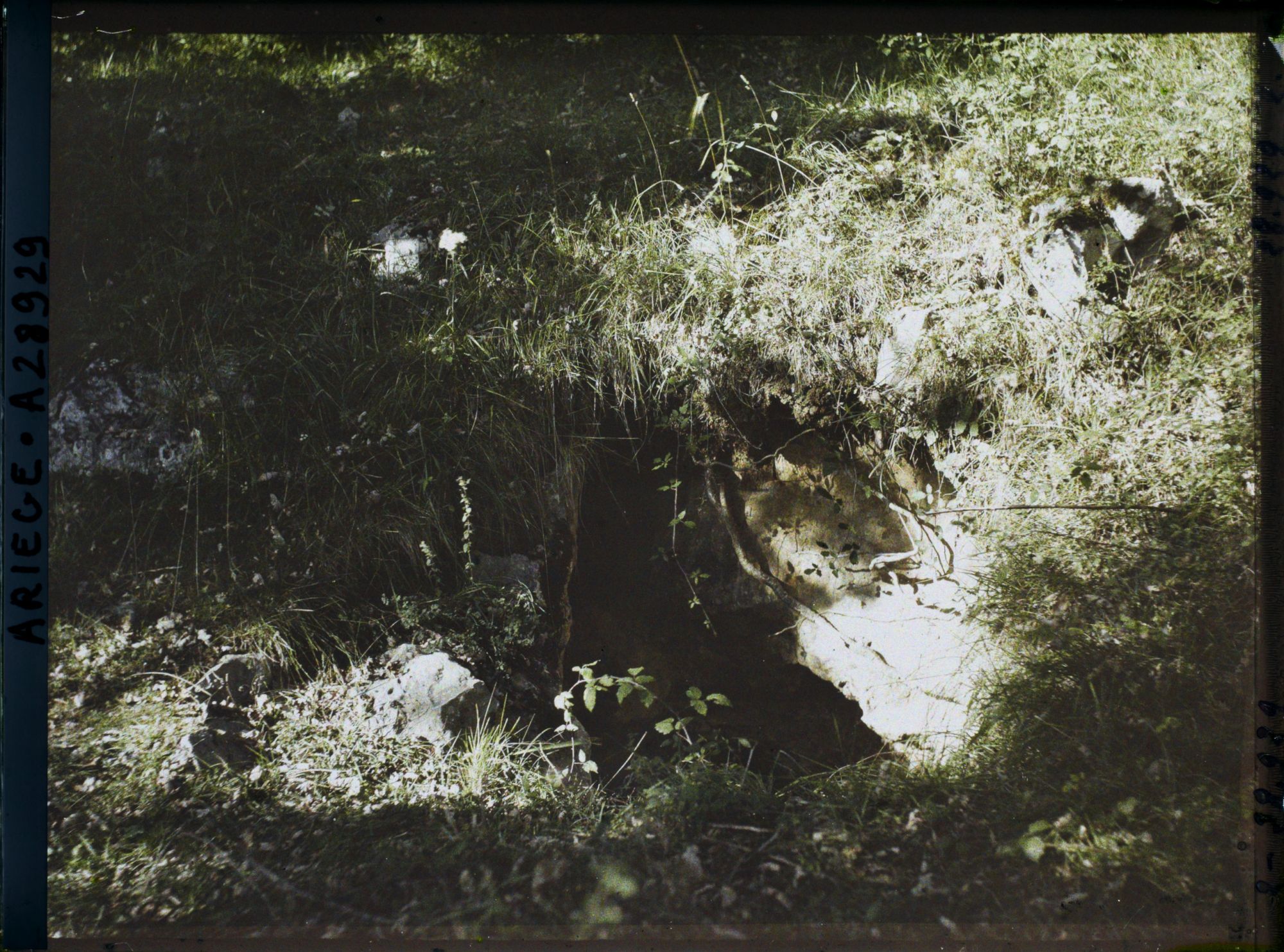 Image représentant La veine des Trois-Frères dite le " Trou Souflleur "