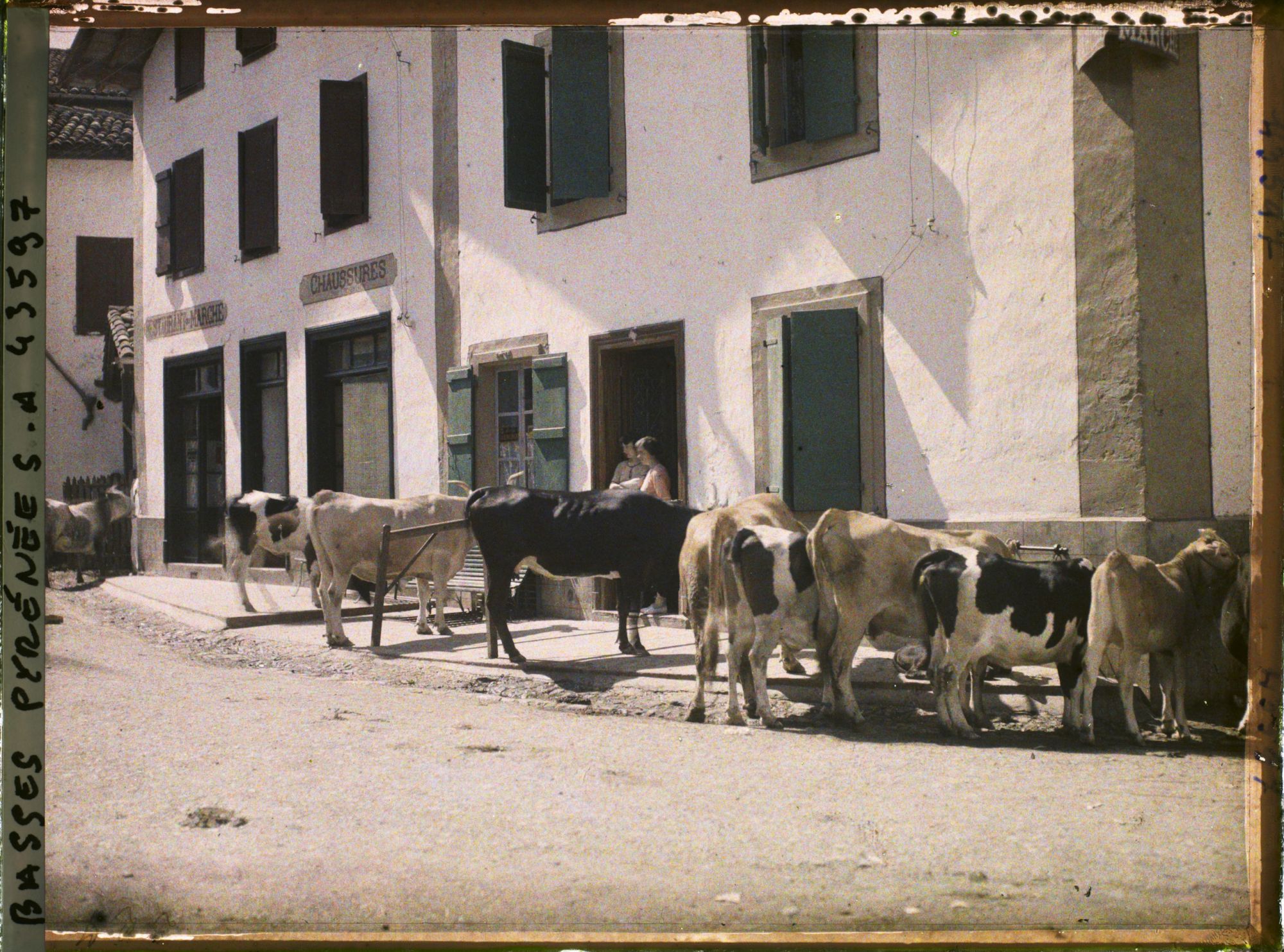 Image représentant France, Espelette, au marché aux bestiaux