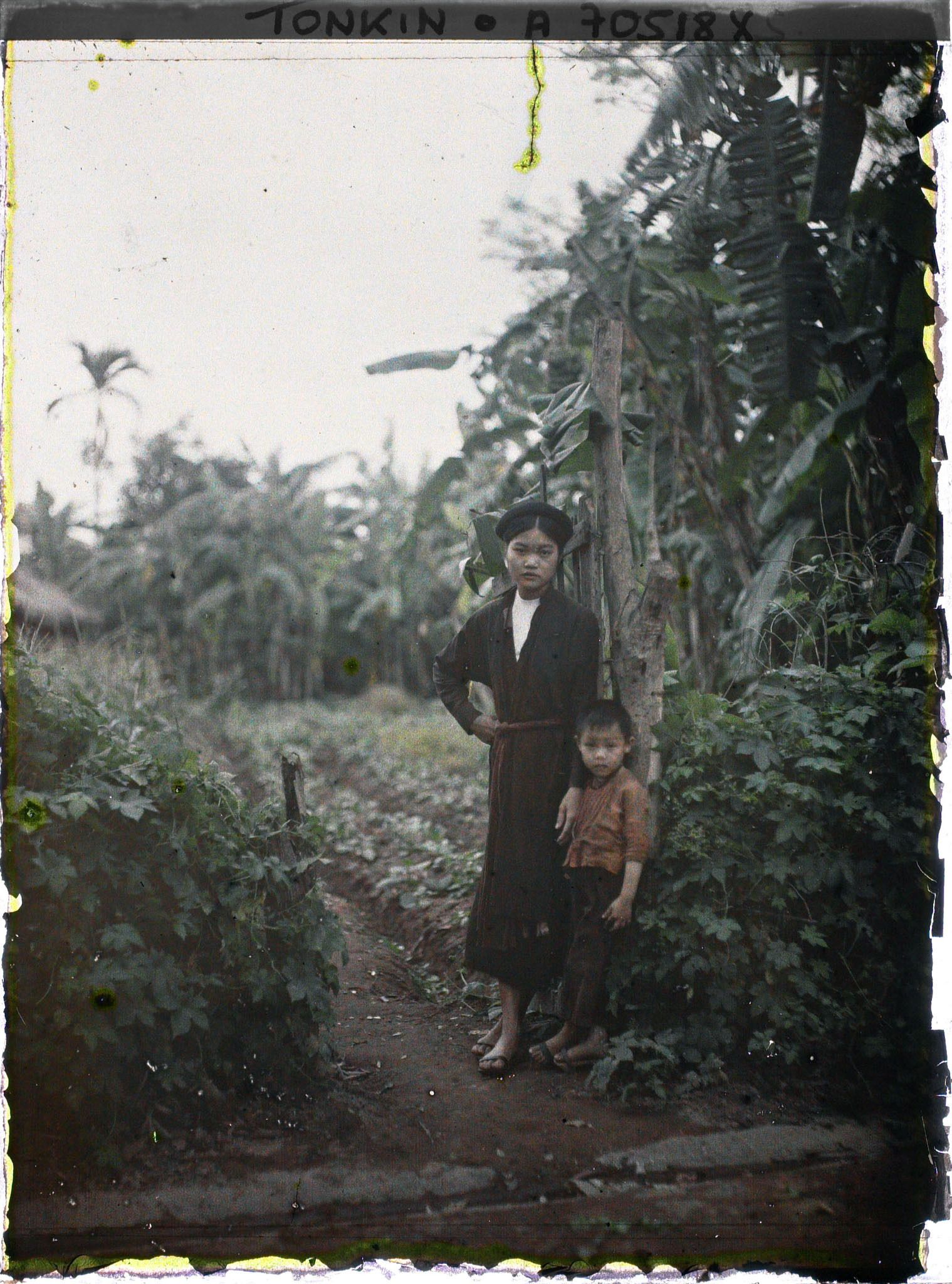 Image représentant Une jeune fille et un garçonnet devant un champ de maïs bordé de bananiers