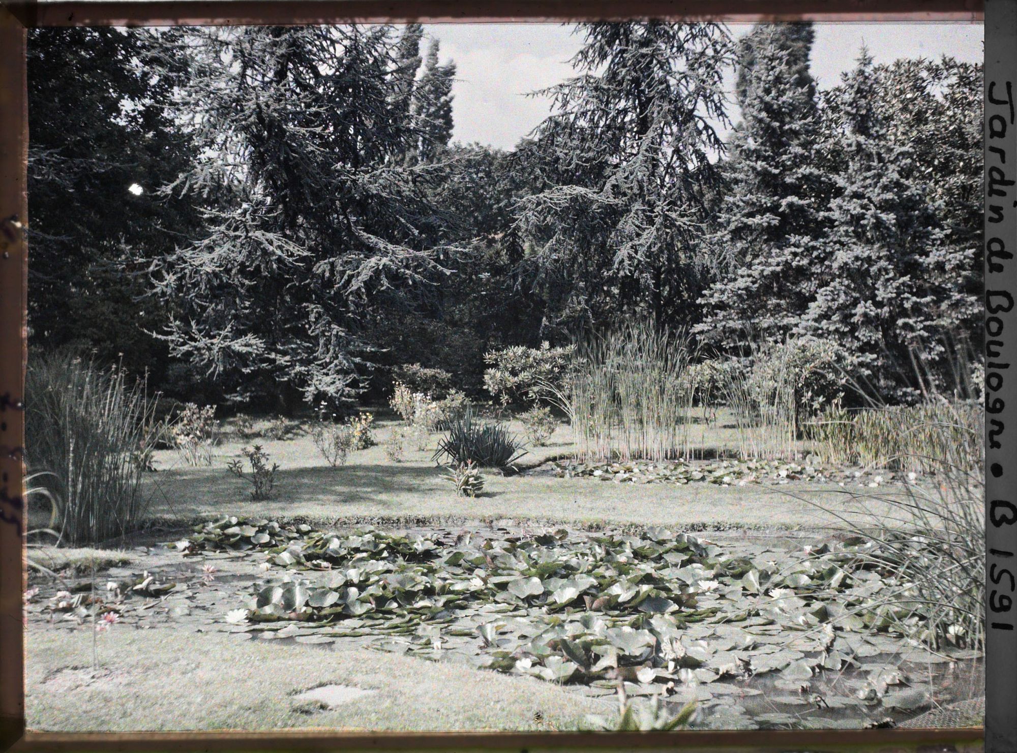 Image représentant les étangs du marais