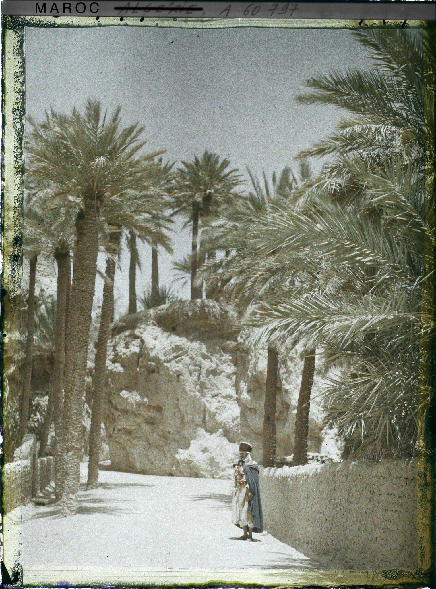 Image représentant L'entrée de la palmeraie