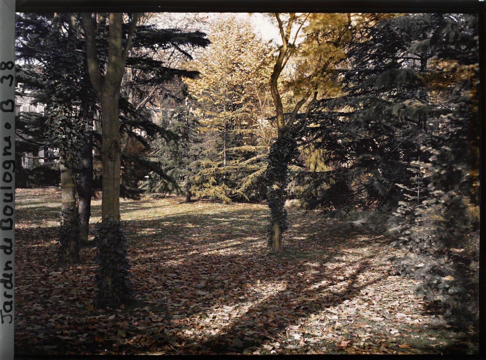 Image représentant La Grande Pelouse, vue en direction des 7, 8 et 10 quai du 4-Septembre