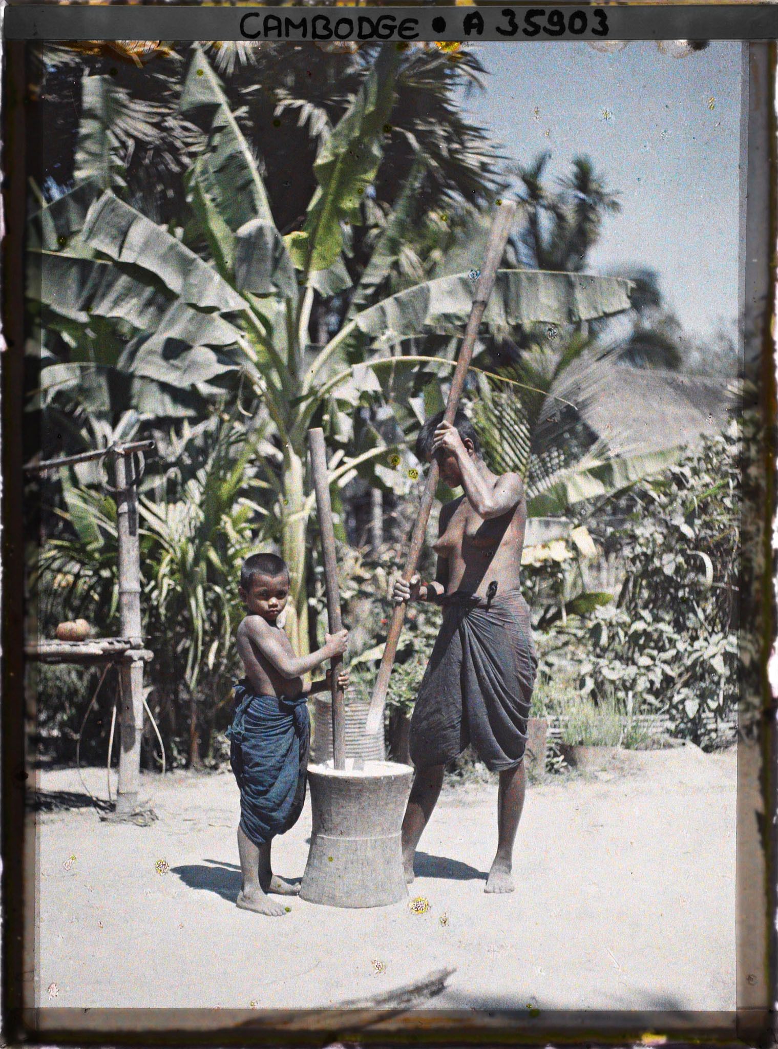 Image représentant Une jeune femme et un enfant pilonnant du riz, devant un bananier