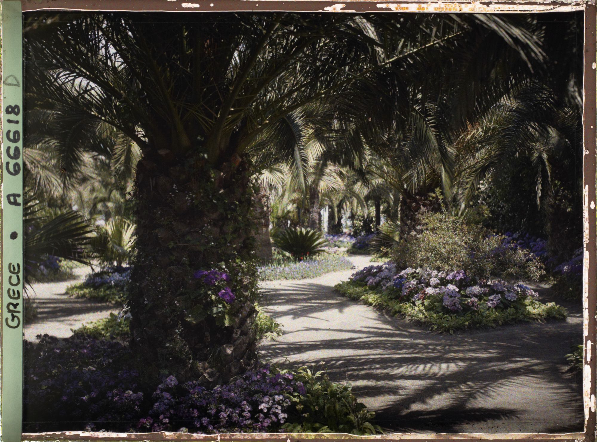 Image représentant L'Achilleion - Les Jardins