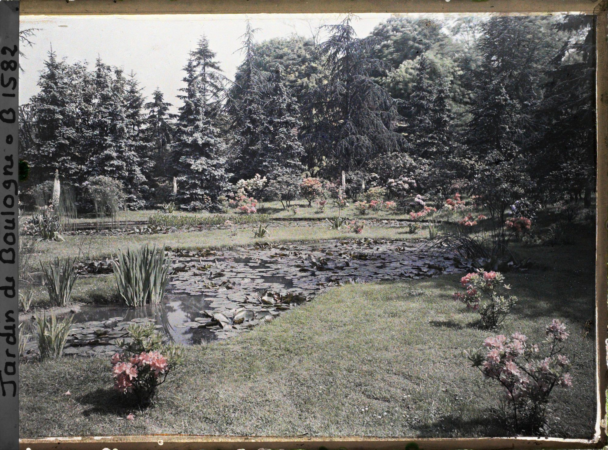 Image représentant Partie est du marais entourée d'azalées et de rhododendrons en fleurs, vue en direction du nord