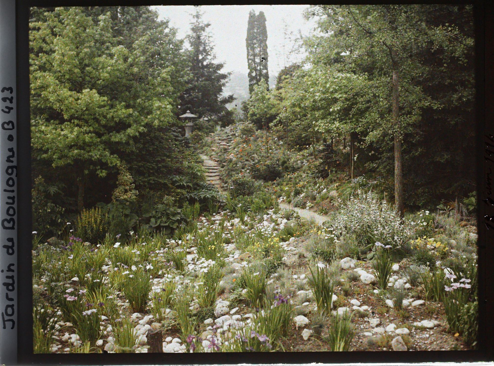 Image représentant Lanterne en haut d'un chemin escarpé du " jardin chinois " précédé d'un espace pierreux et herbacé