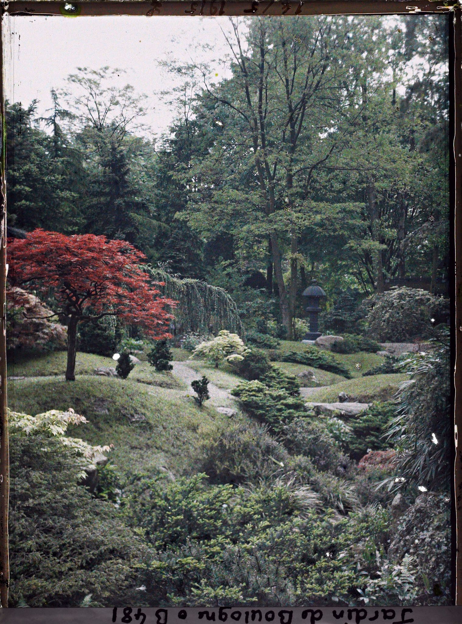 Image représentant Érable rougeoyant et rivière sèche au cœur du " village japonais " vus en direction du jardin anglais