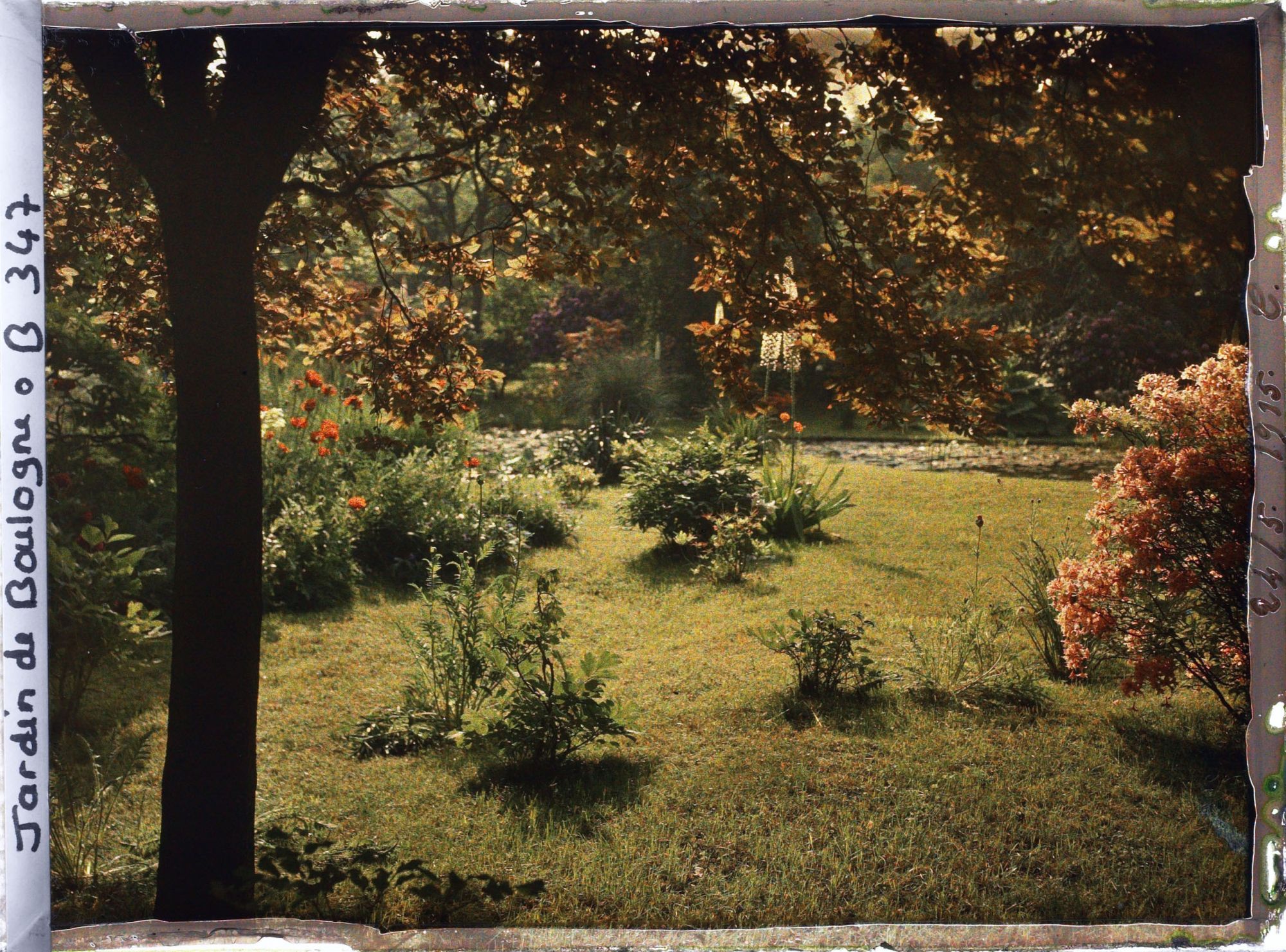 Image représentant Pavots, Erémurus et azalées en fleurs longeant les bassins au sud-ouest du marais