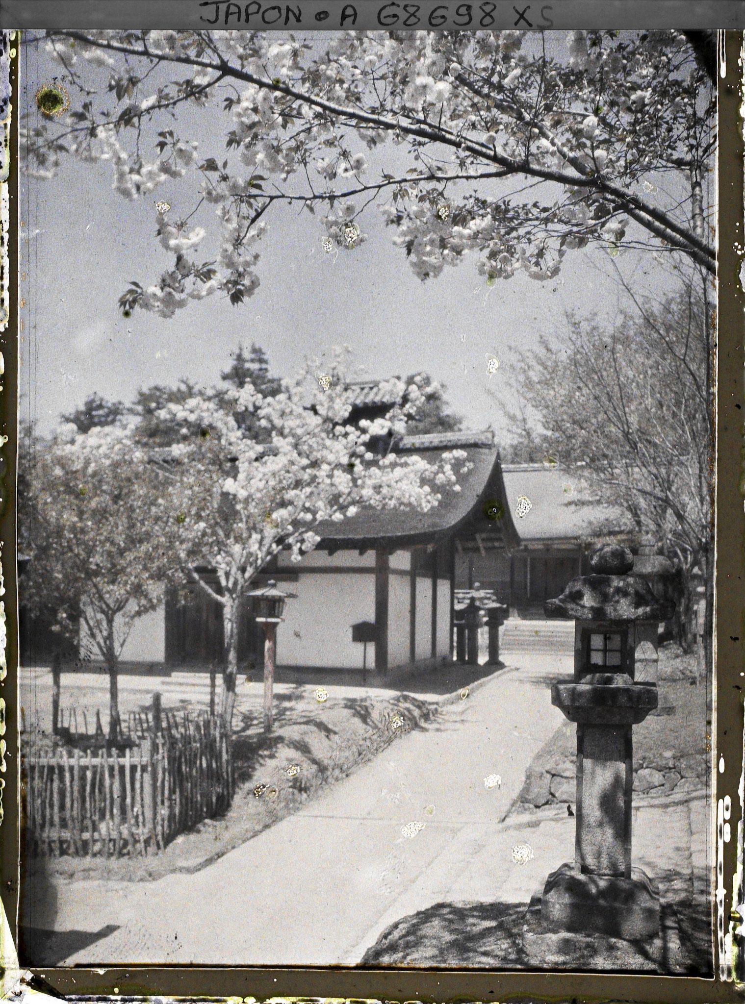 Image représentant Sanctuaire Kasuga-Jinja (ou Kasuga-Taisha) : Le Sakadono et le Keishoden