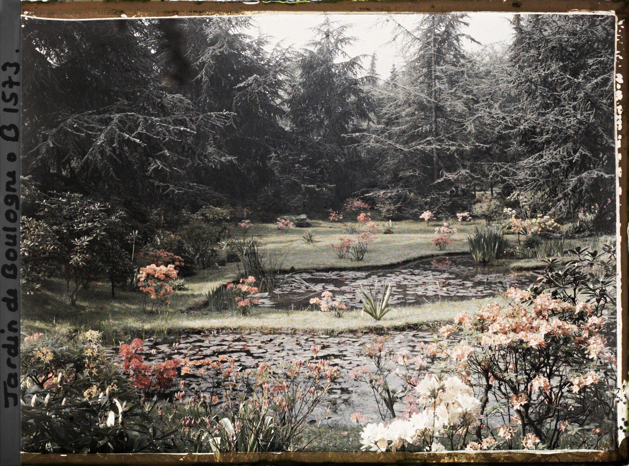 Image représentant Les étangs du marais