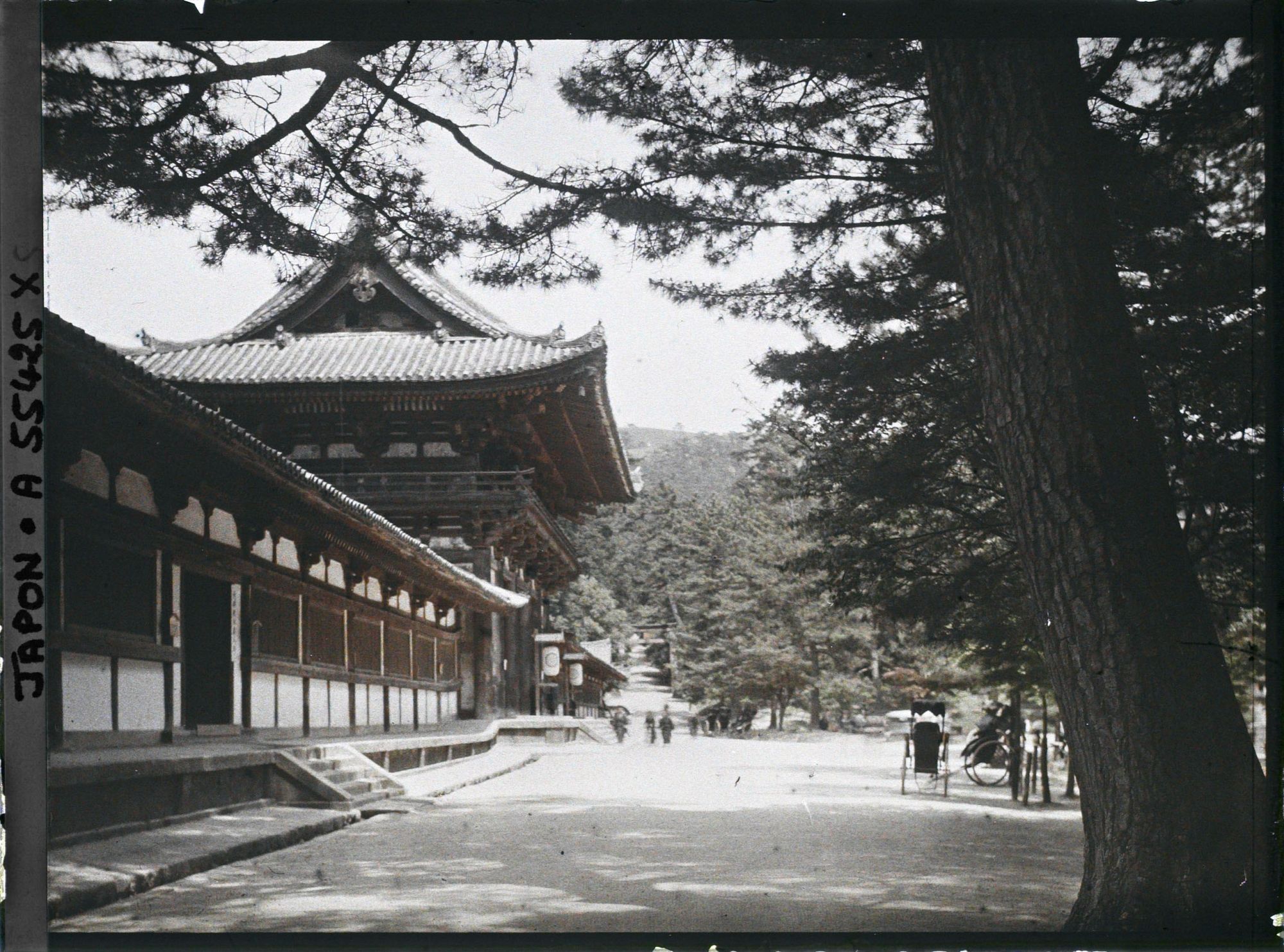 Image représentant Temple Tôdai-ji : la Porte intérieure (chûmon) et l'enceinte (kairô)