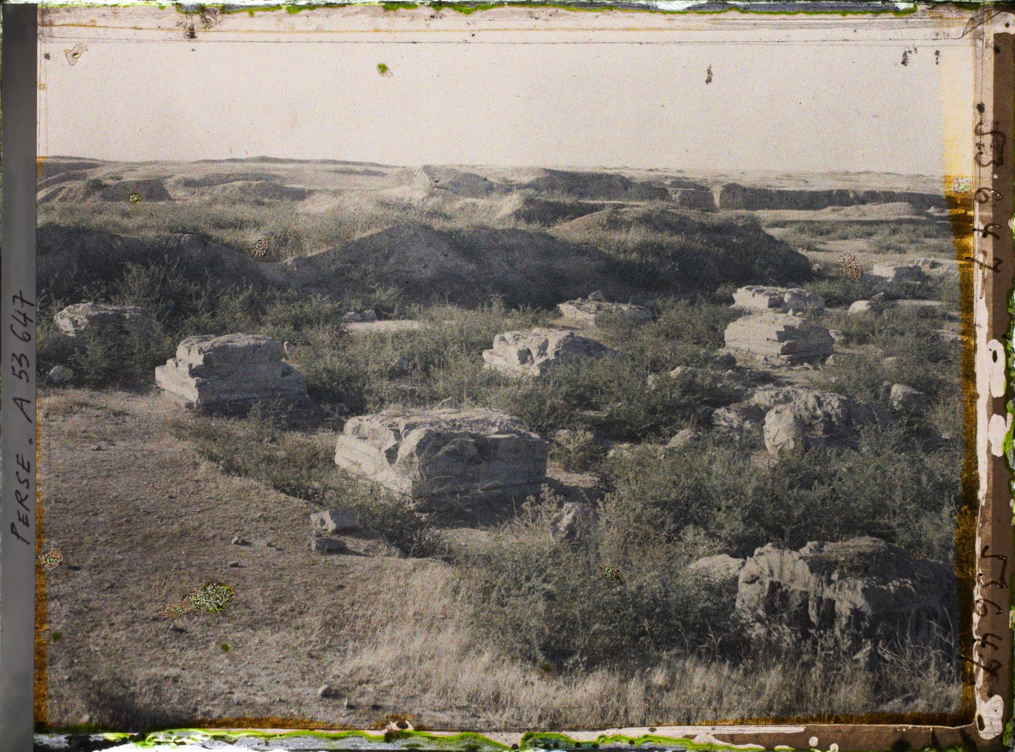 Image représentant Bases de colonnes carrées (ruines de l'Apadana ?)