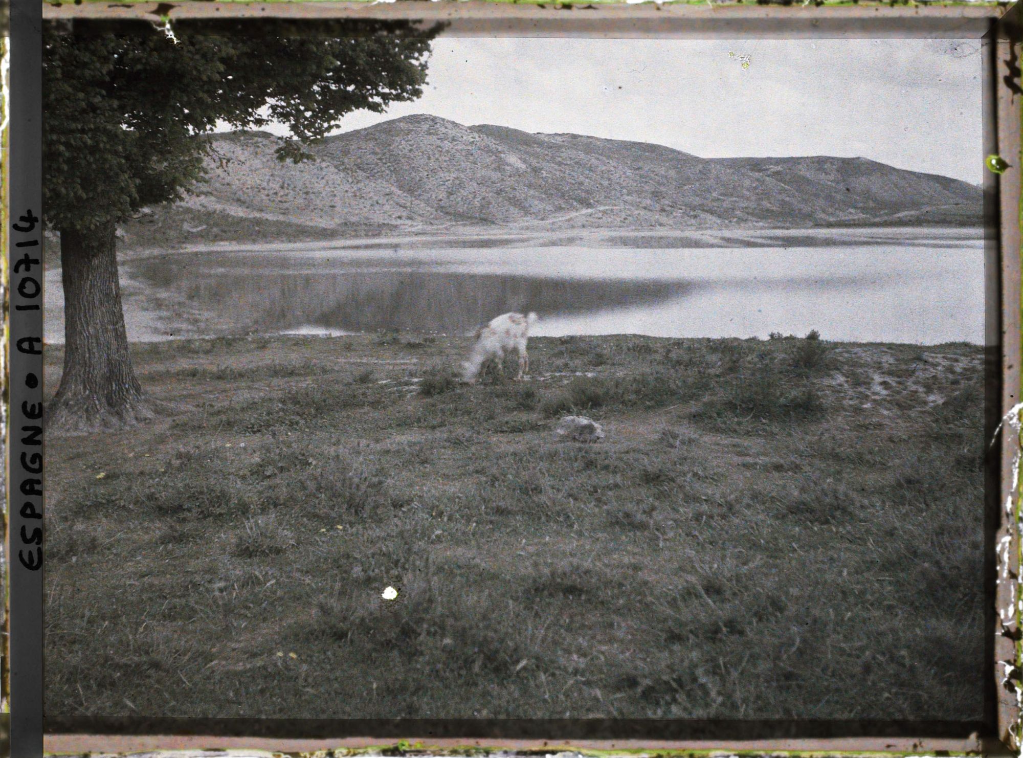 Image représentant Espagne, Aranjuez, La Mar de Ontigola avec le Village d'Ontigola dans le lointain