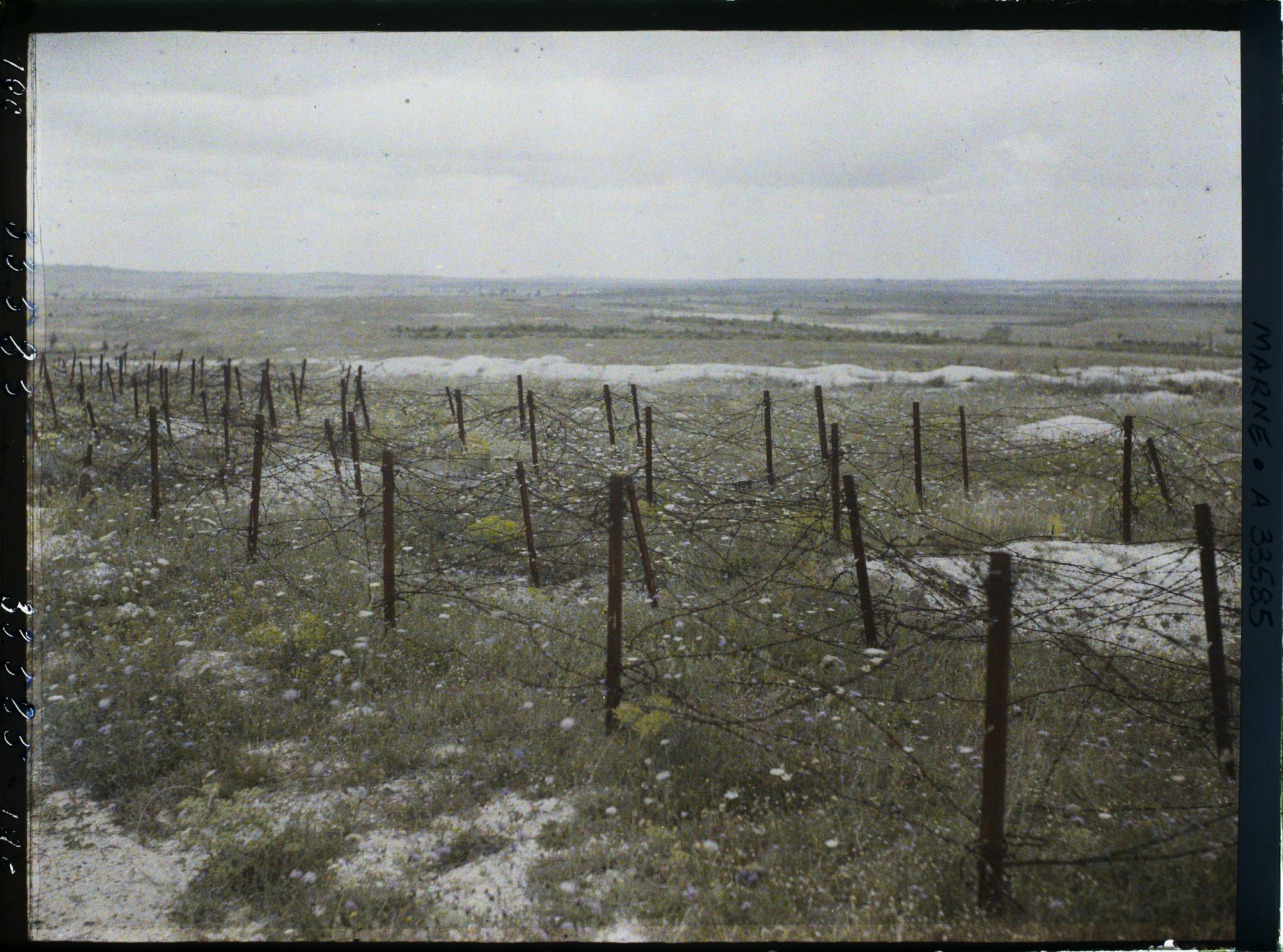 Image représentant France, Tranchée et barbelés en venant du Mont Casque