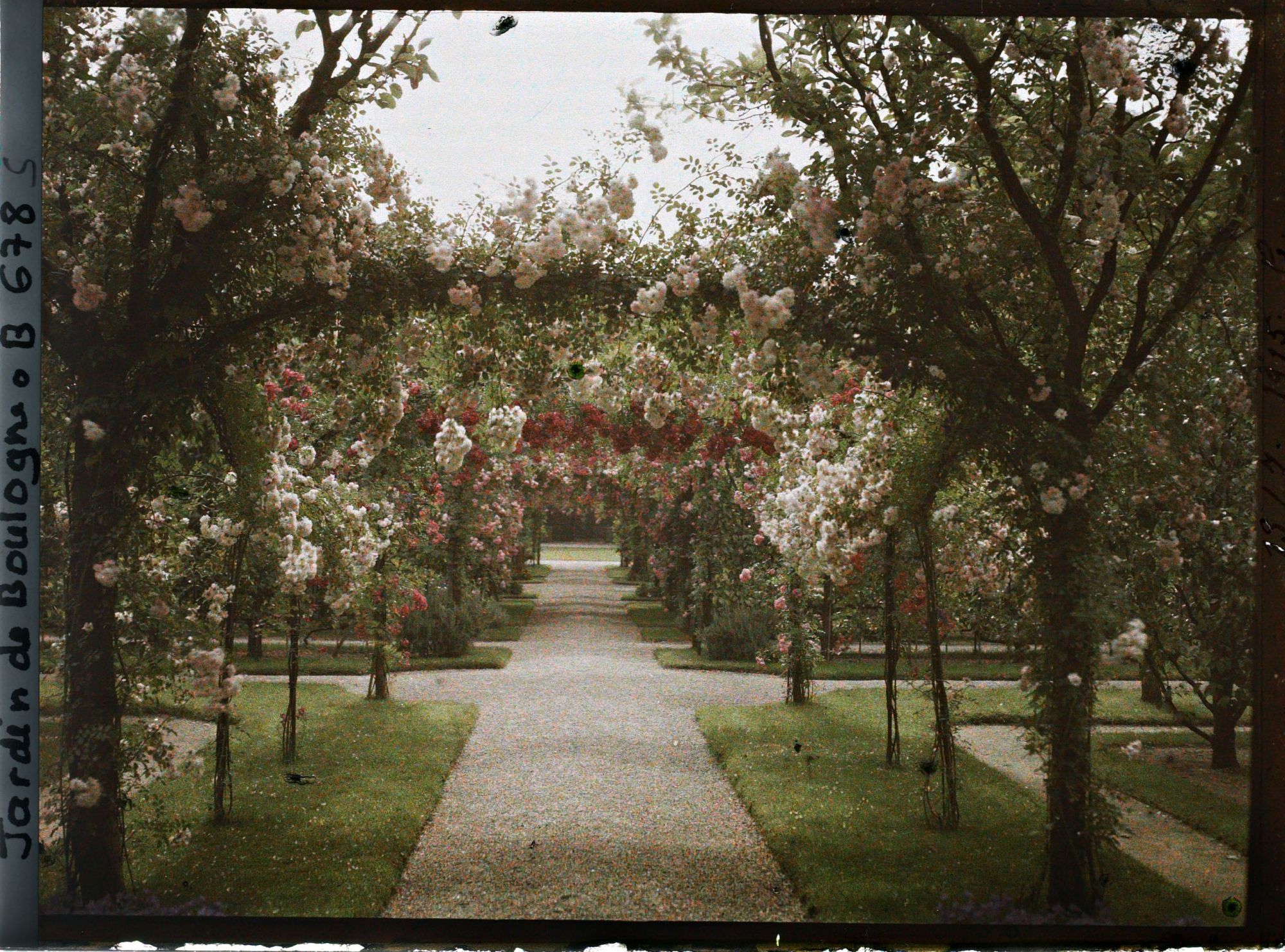 Image représentant IF8031_B000678.jpg