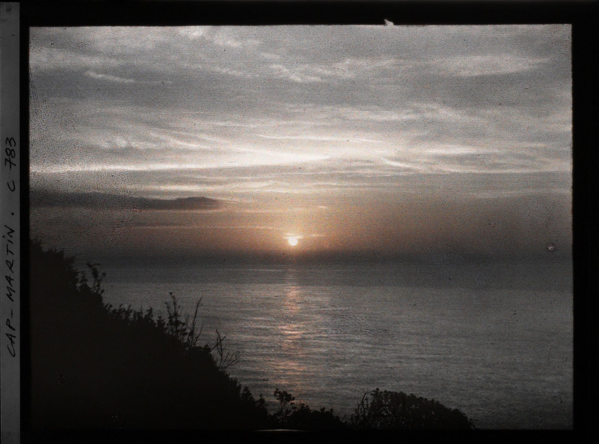 Image représentant Végétation se découpant en ombre chinoise sur la mer, lors d'un lever de soleil au cap Martin