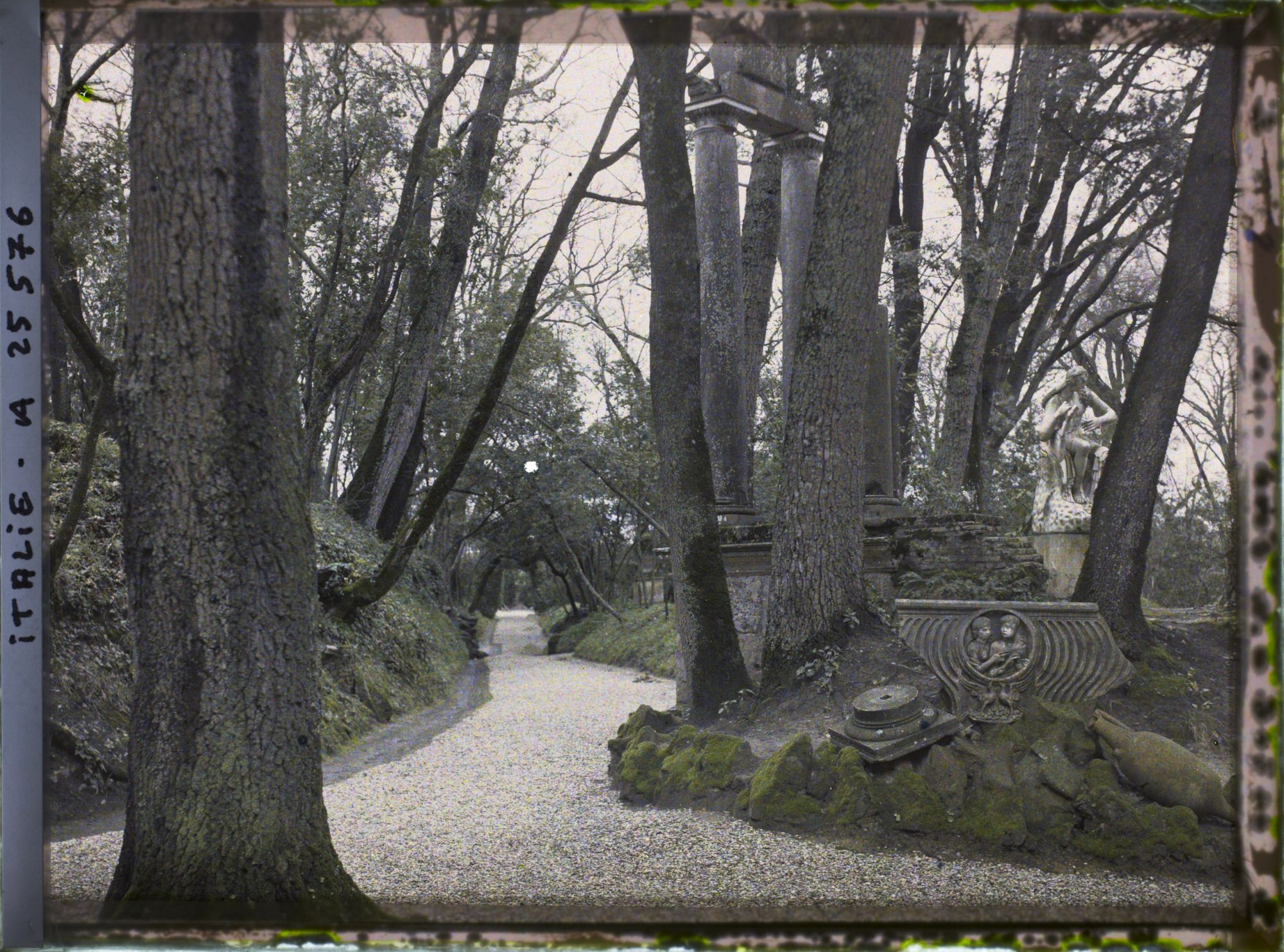 Image représentant Jardins du Vatican