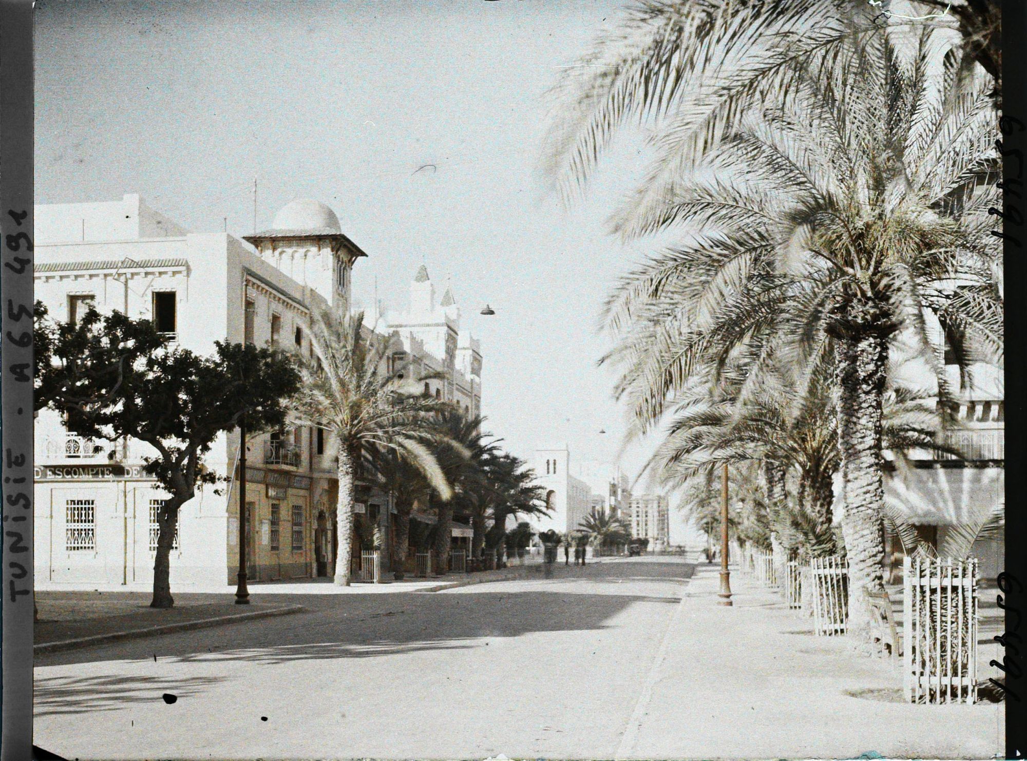 Image représentant L'avenue Jules Gau