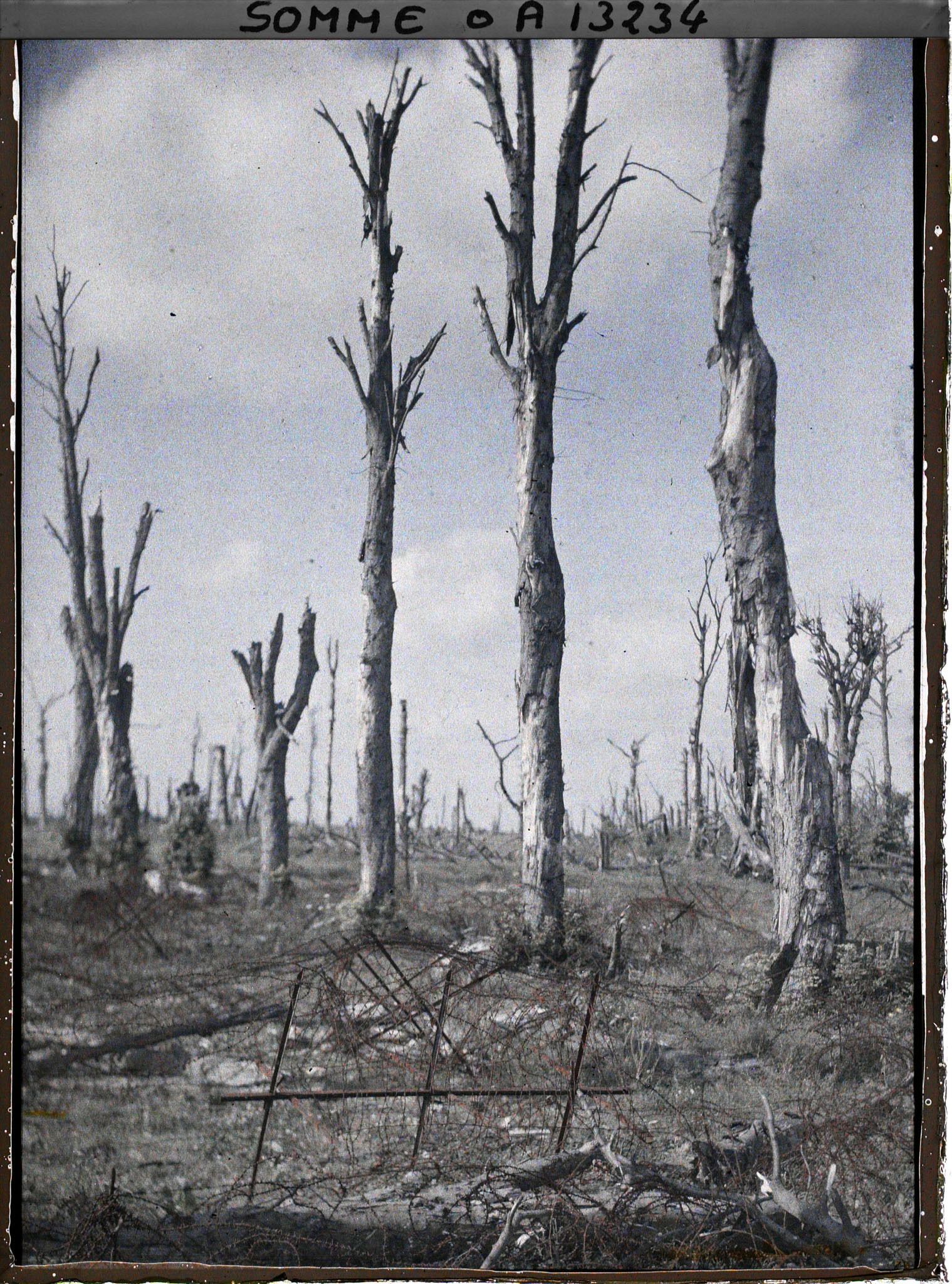 Image représentant France, Chaulnes, Un Coin du Château (Parc)